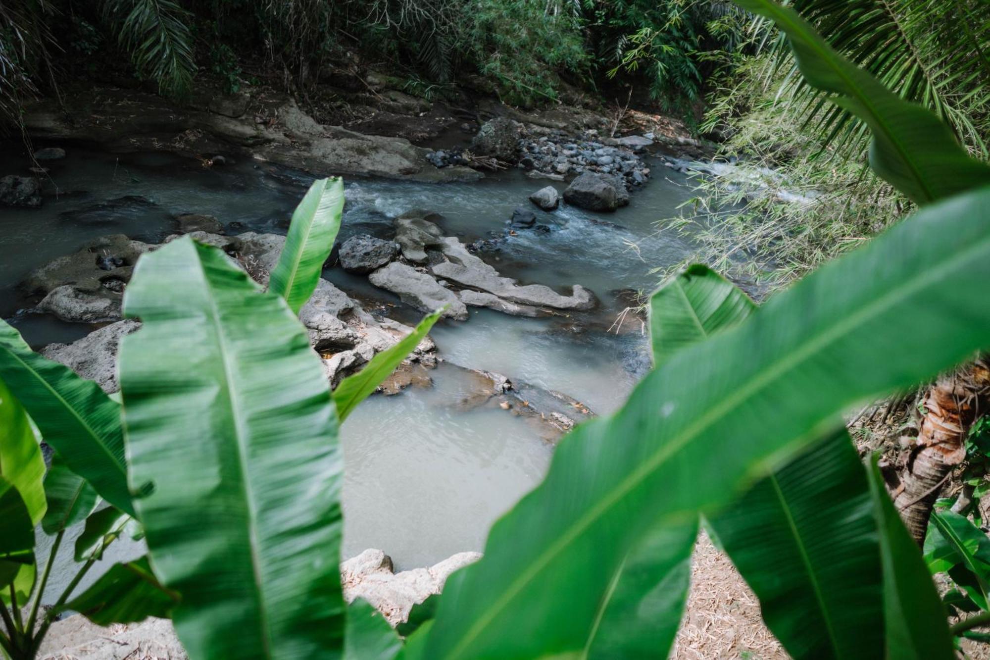 Sun Sang Eco Retreats Tabanan (Bali)