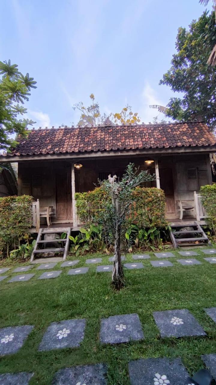 Guest house Kubudiuma Bali Canggu (Bali)