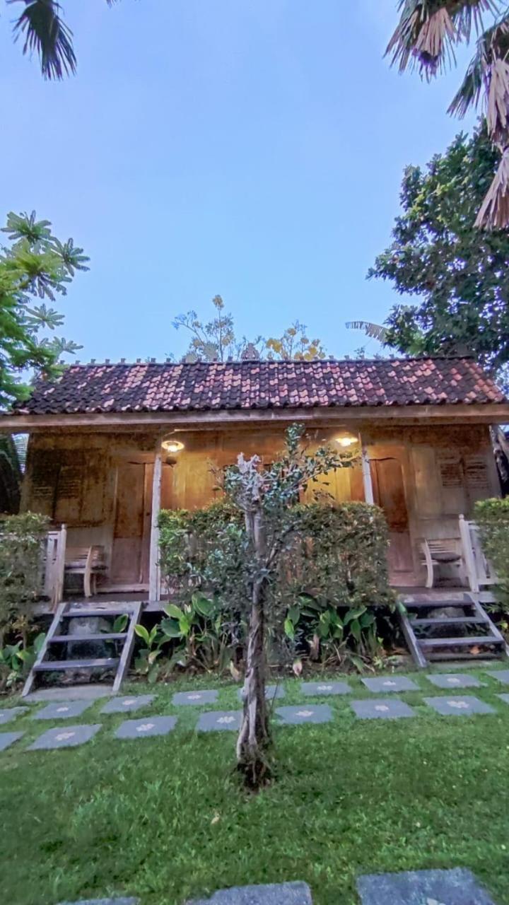 Guest house Kubudiuma Bali Canggu (Bali)