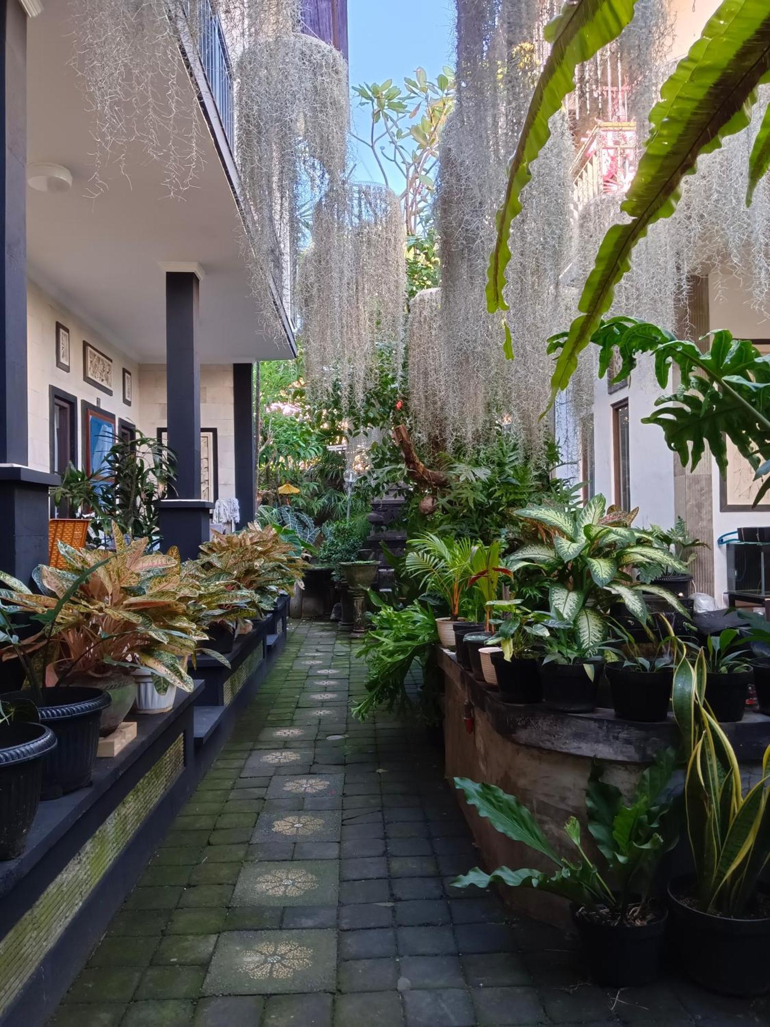 Guest house Double N Bali Sanur (Bali)