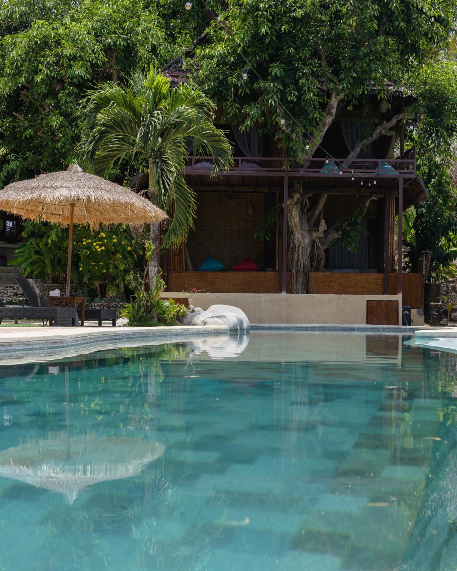 Lodge Gading Tree House