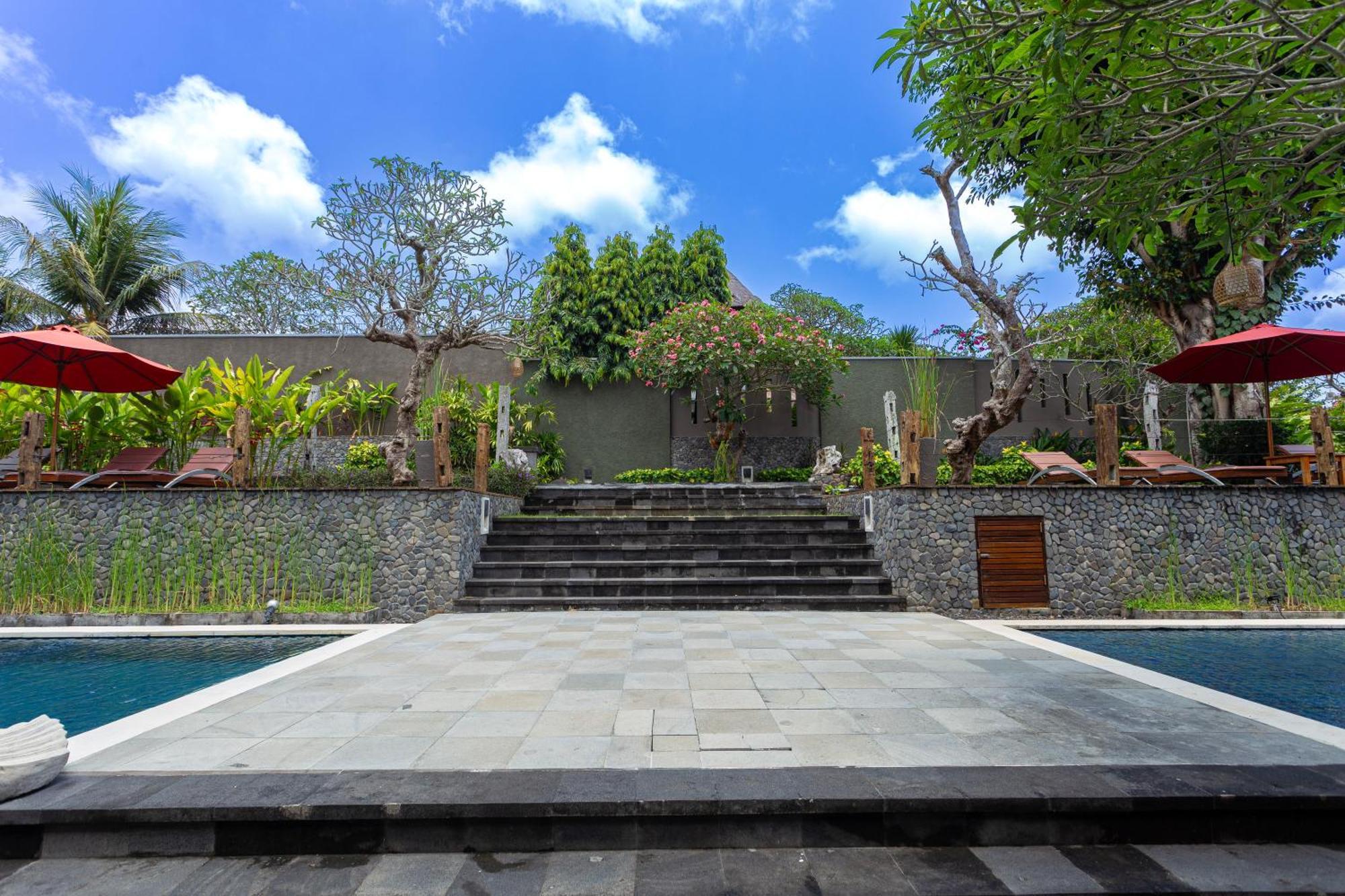 Abi Bali And