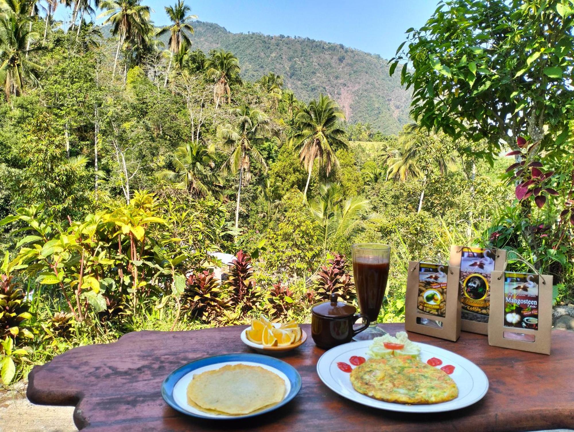 Ananda Lemukih Homestay Singaraja (Bali)