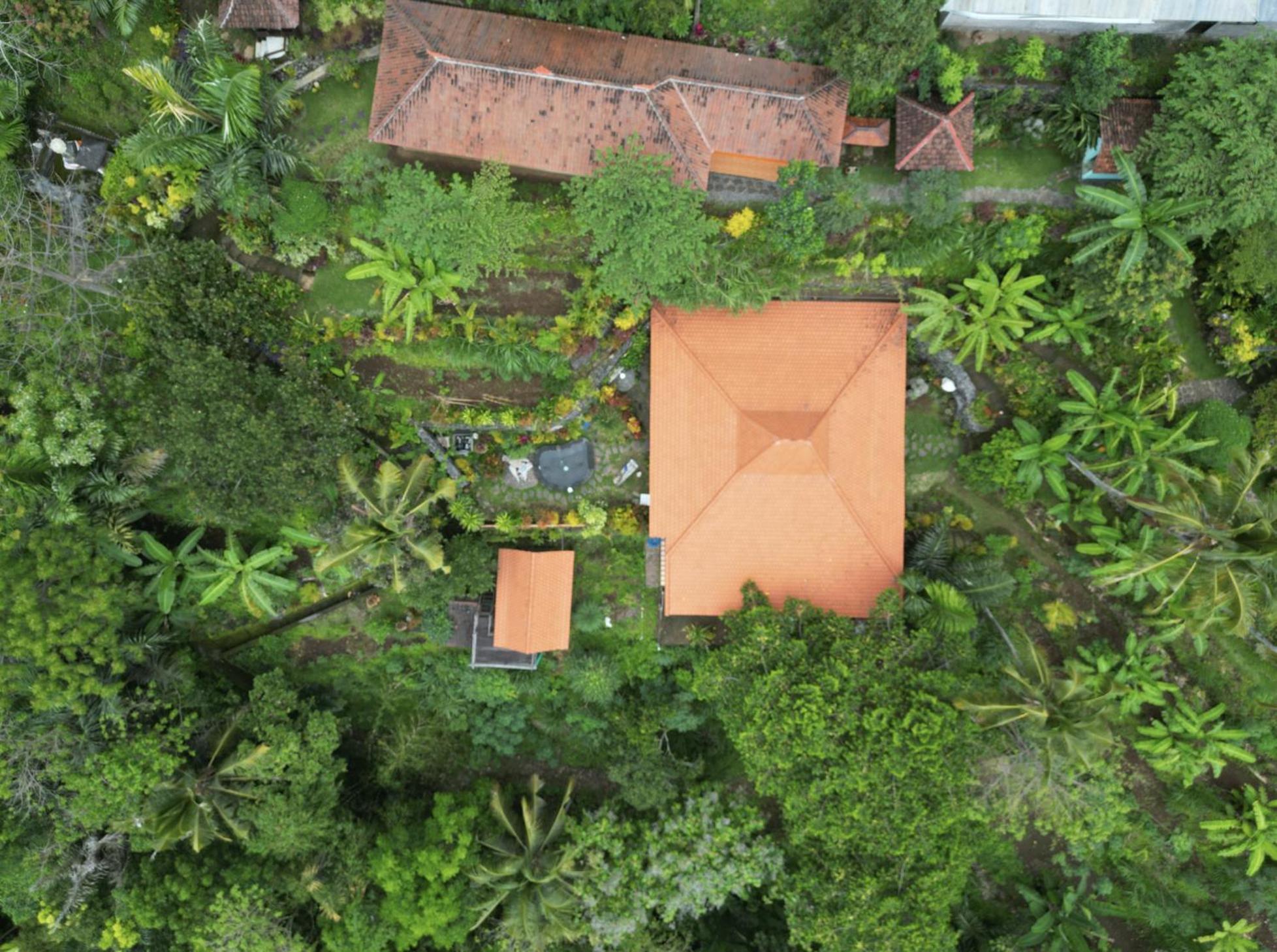 Kepuh Singaraja (Bali)