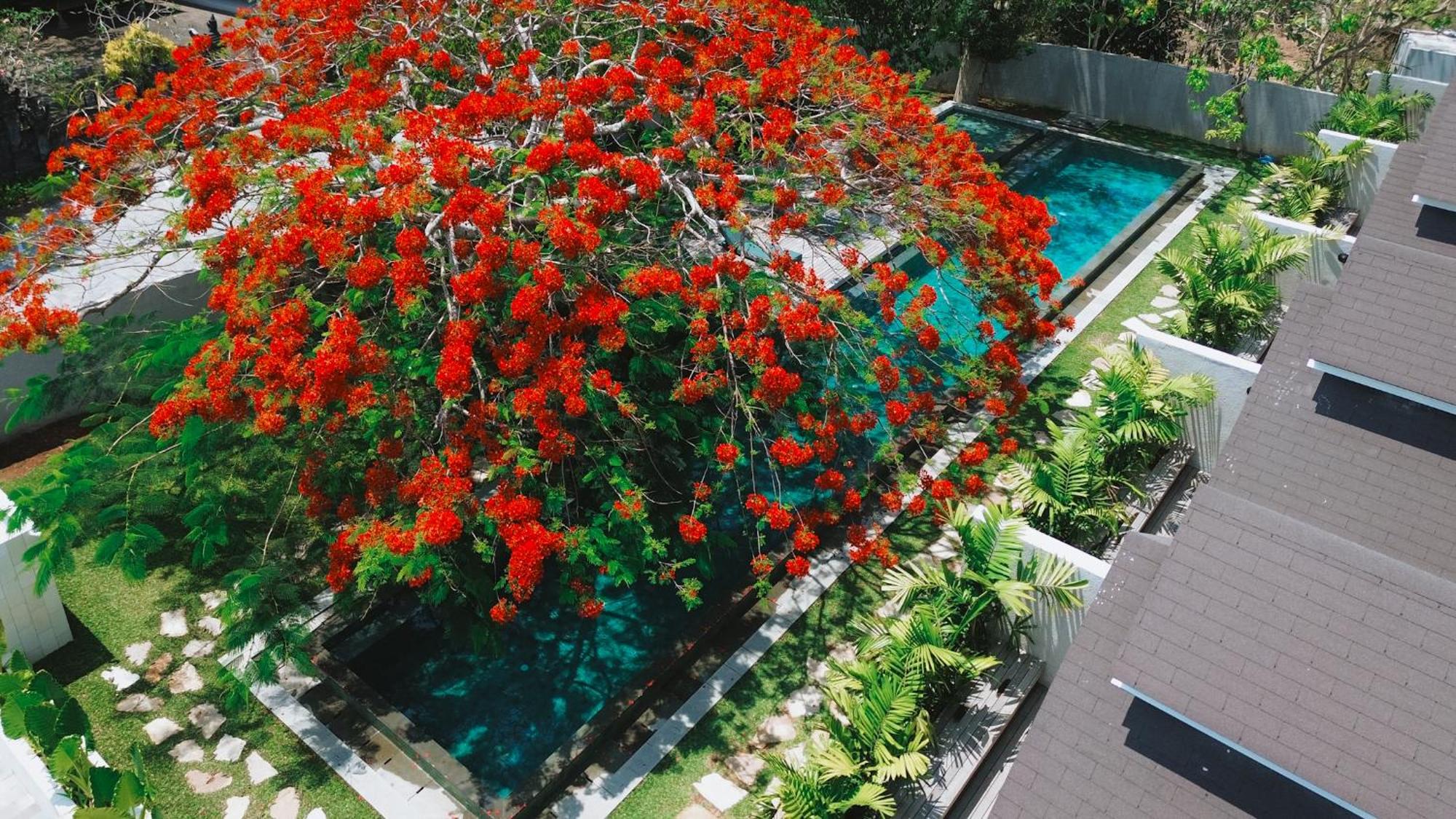 Asai Village Villa Jimbaran (Bali)