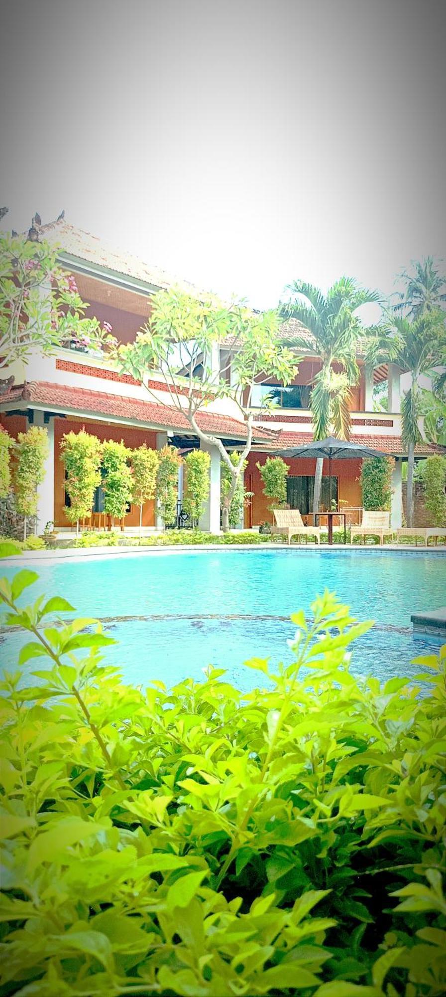 My Guest house Lovina (Bali)