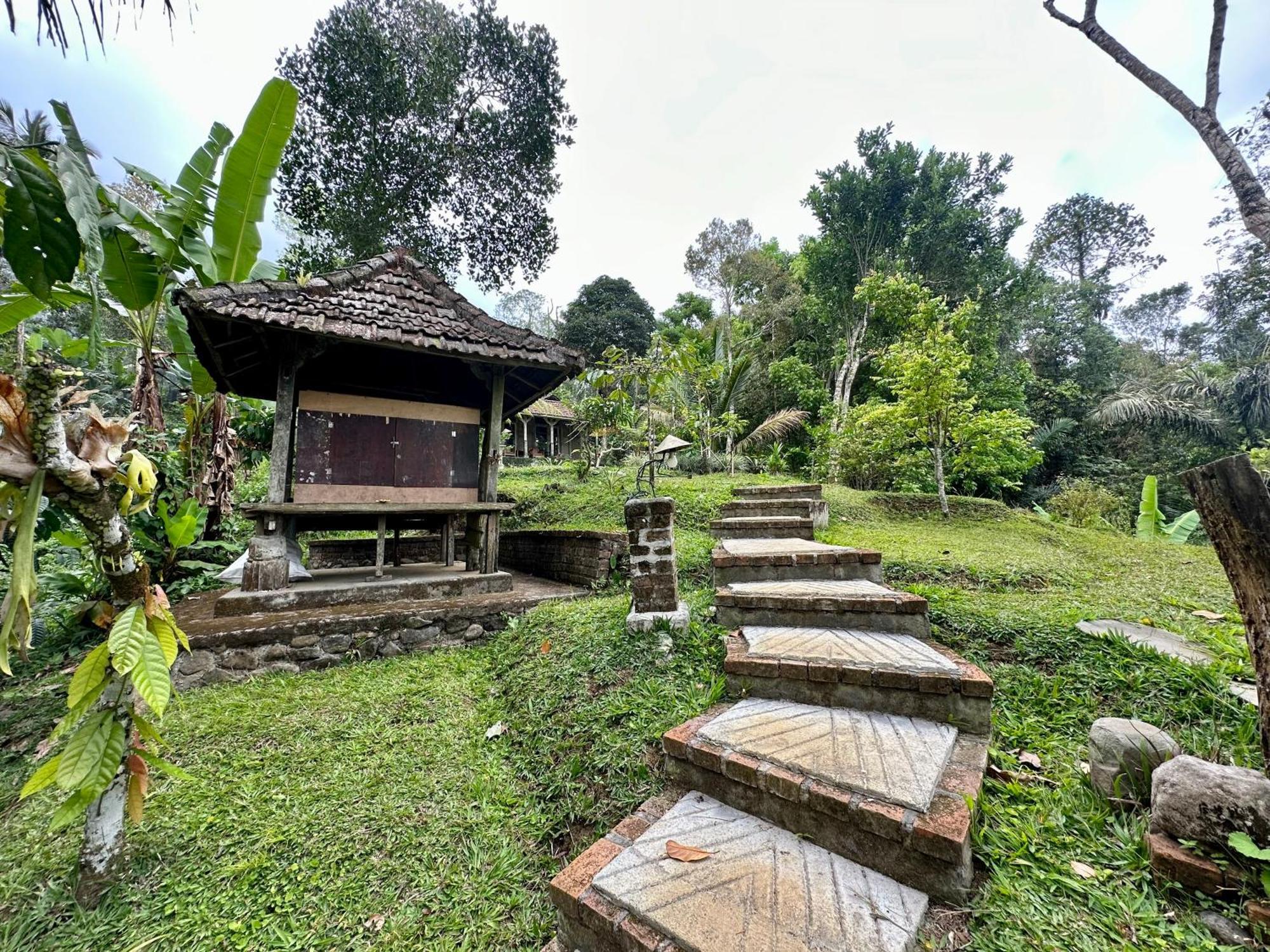 Oemah Tepi Sawah