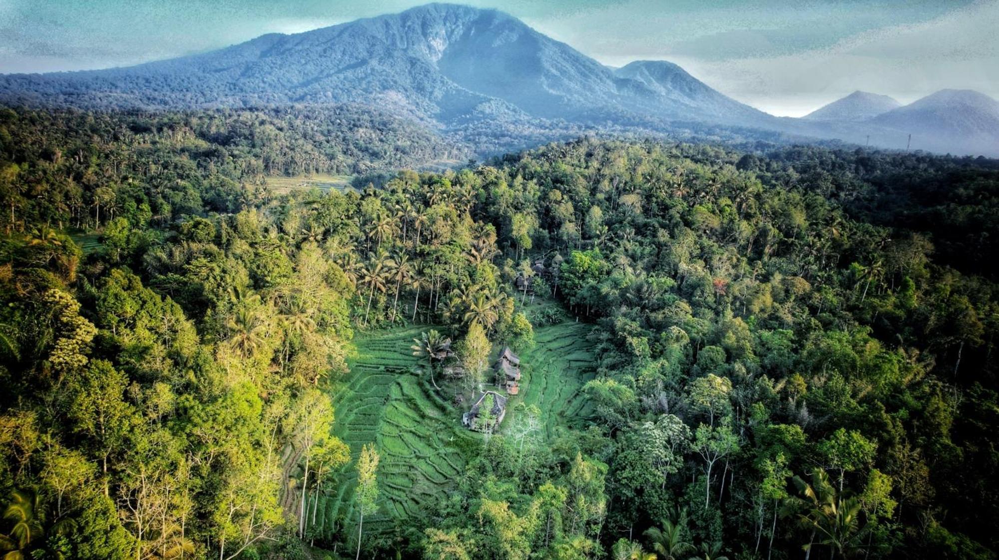 Oemah Tepi Sawah *