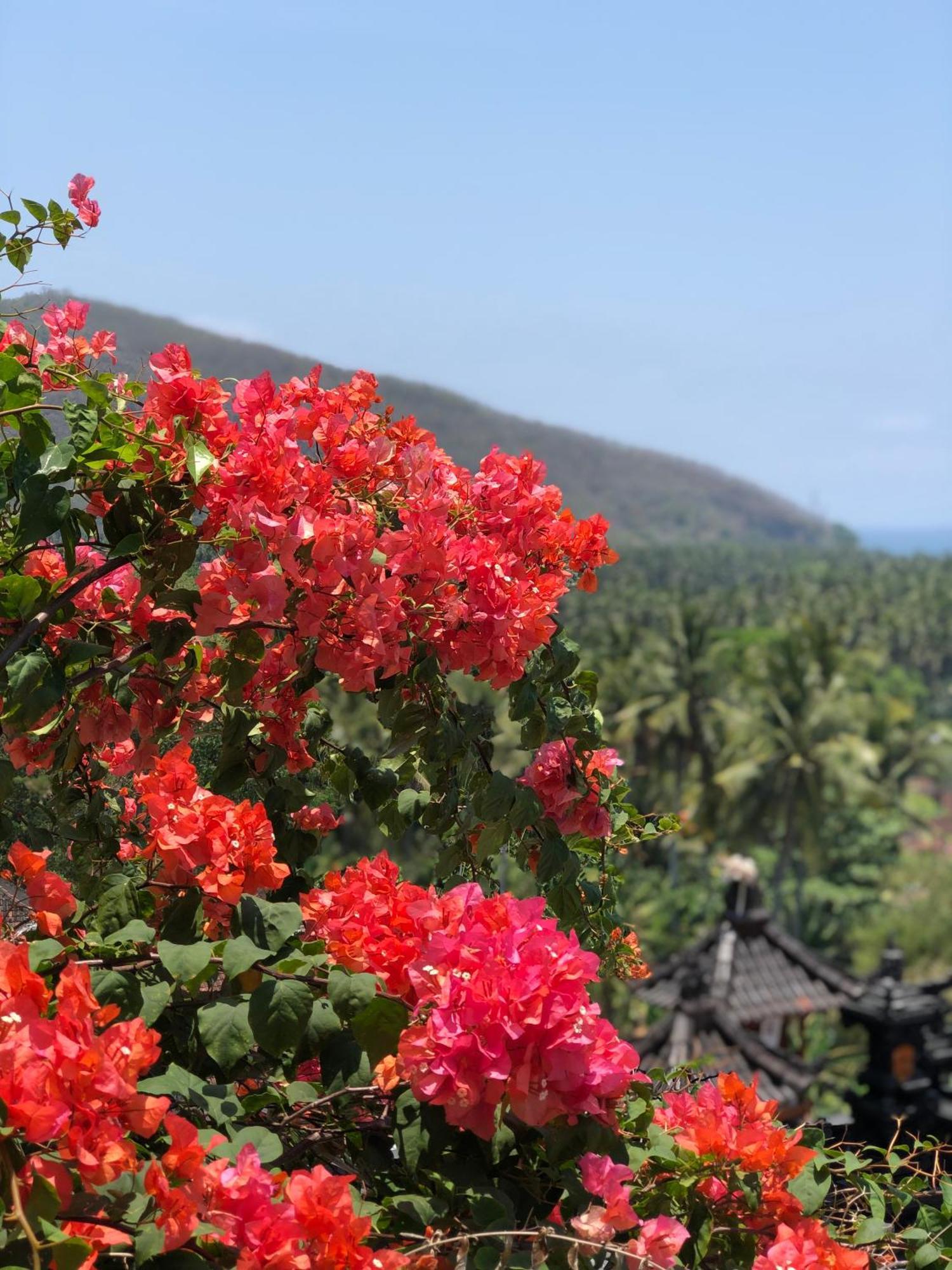 Maya Candi Dasa (Bali)