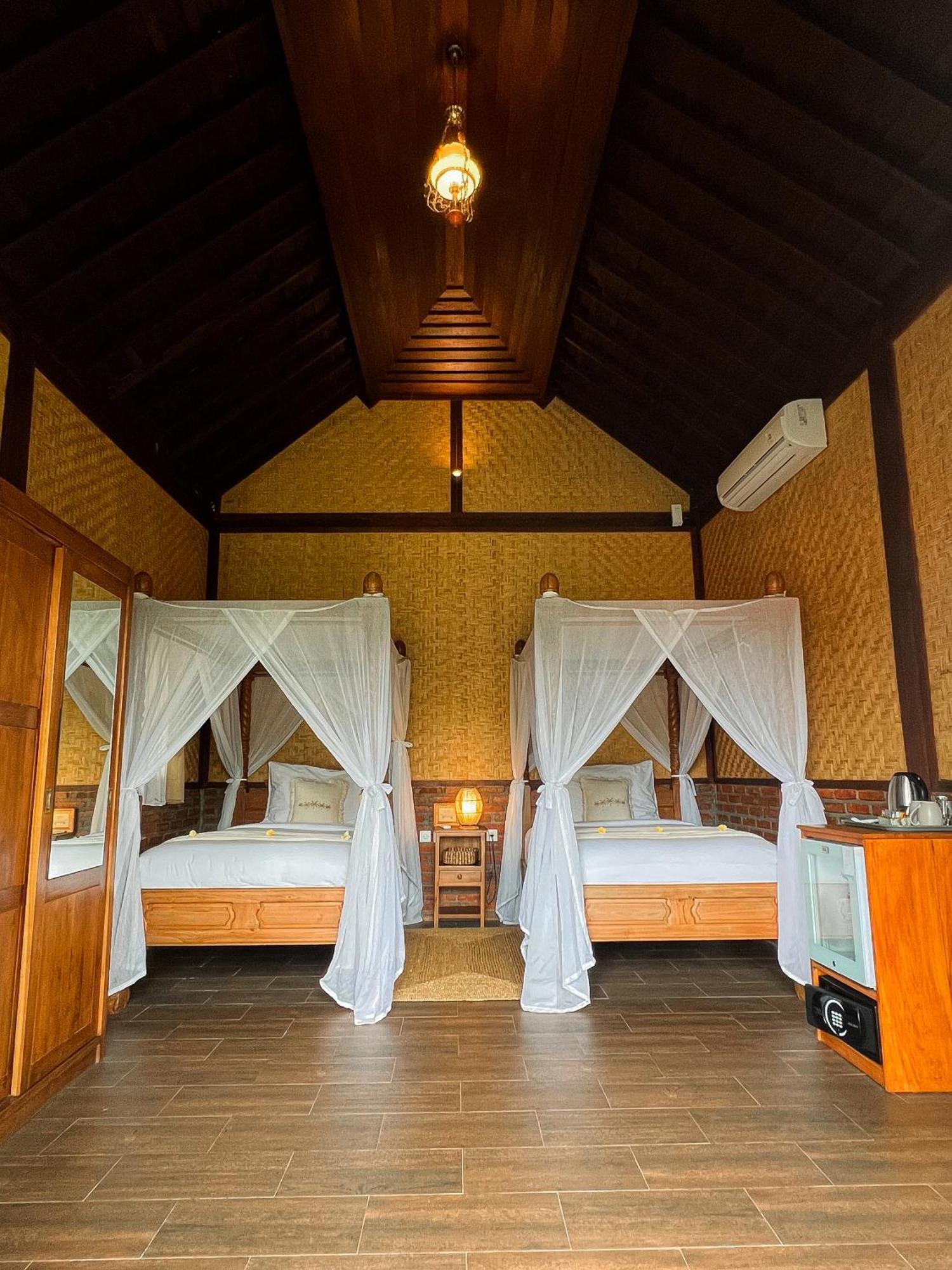 Bali Palms