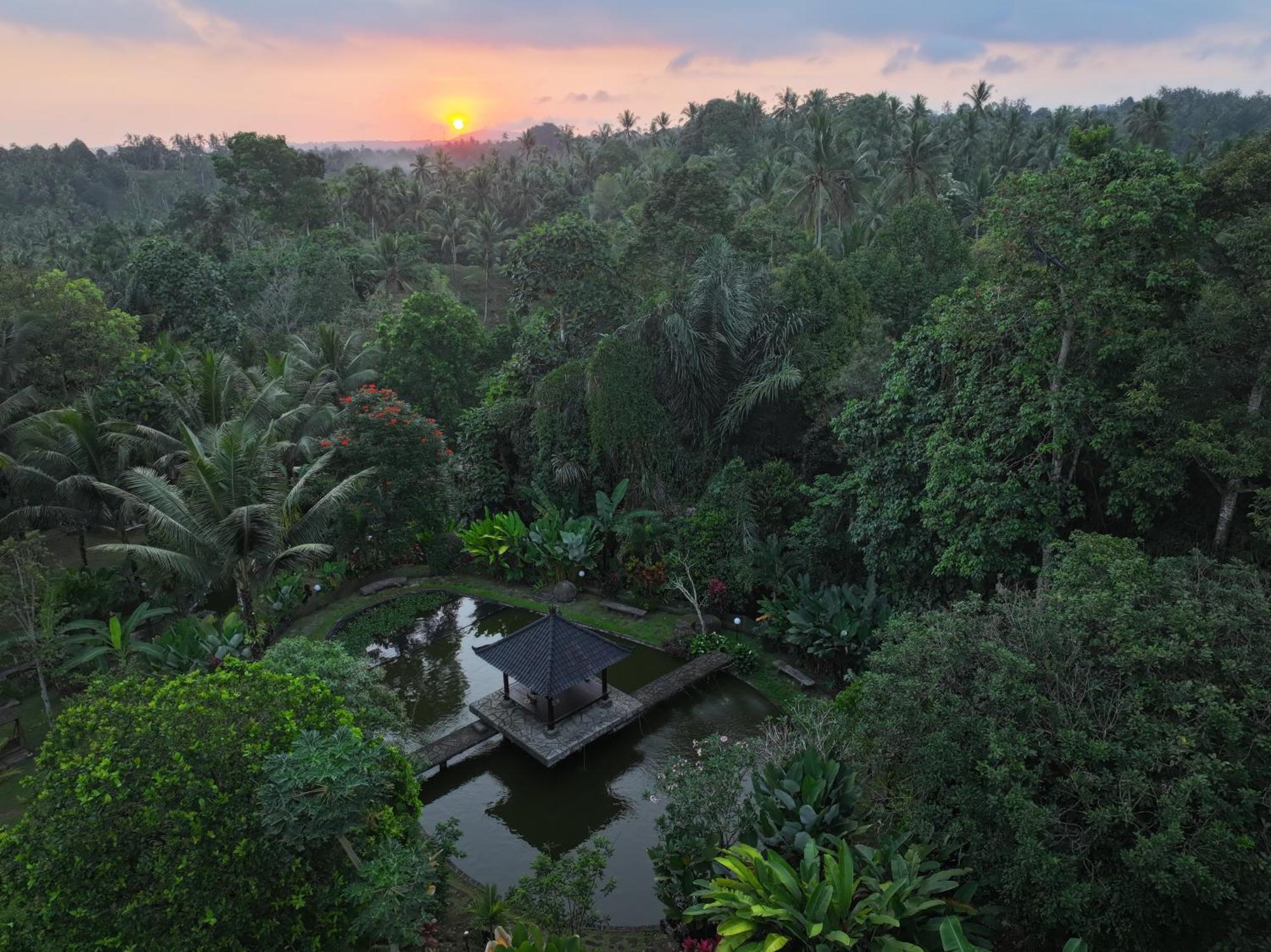 Homestay Bali Palms Tabanan (Bali)