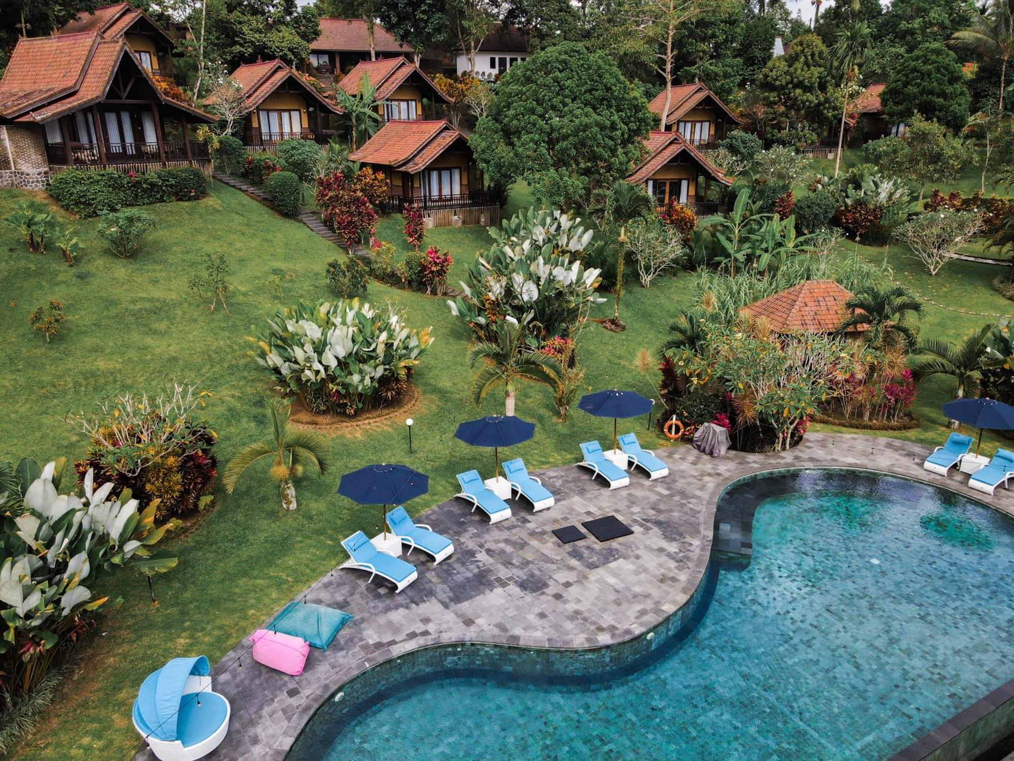 Bali Palms