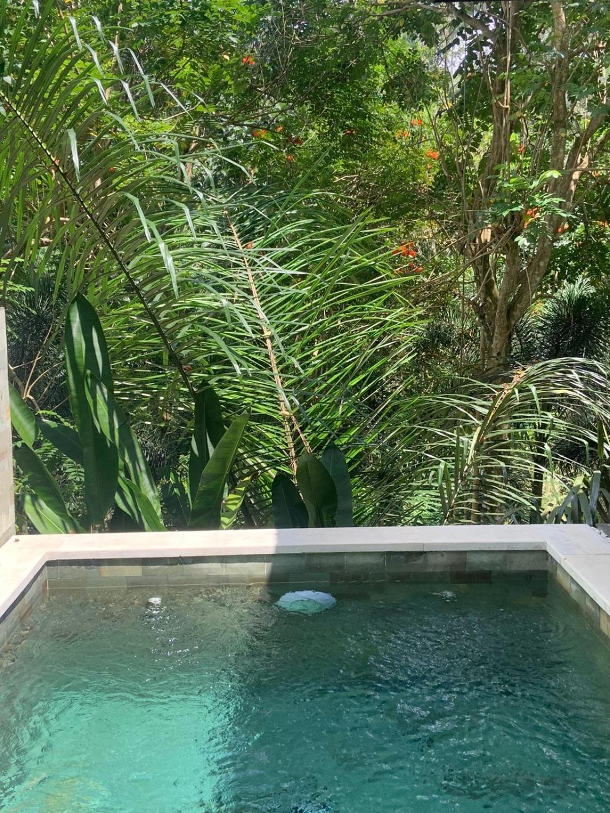 Ubud Hills & Tegallalang (Bali)