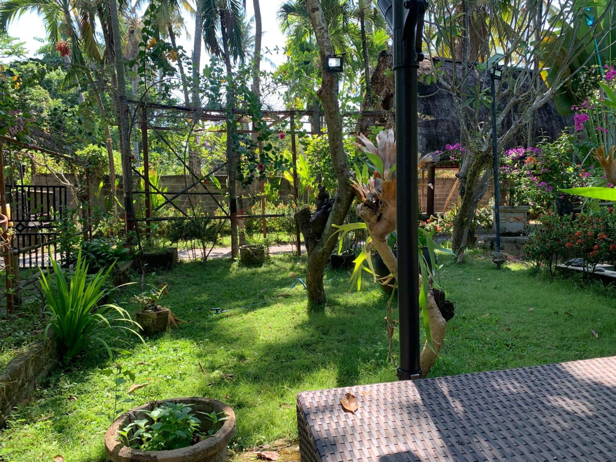 Lumbung Guest house Lovina (Bali)