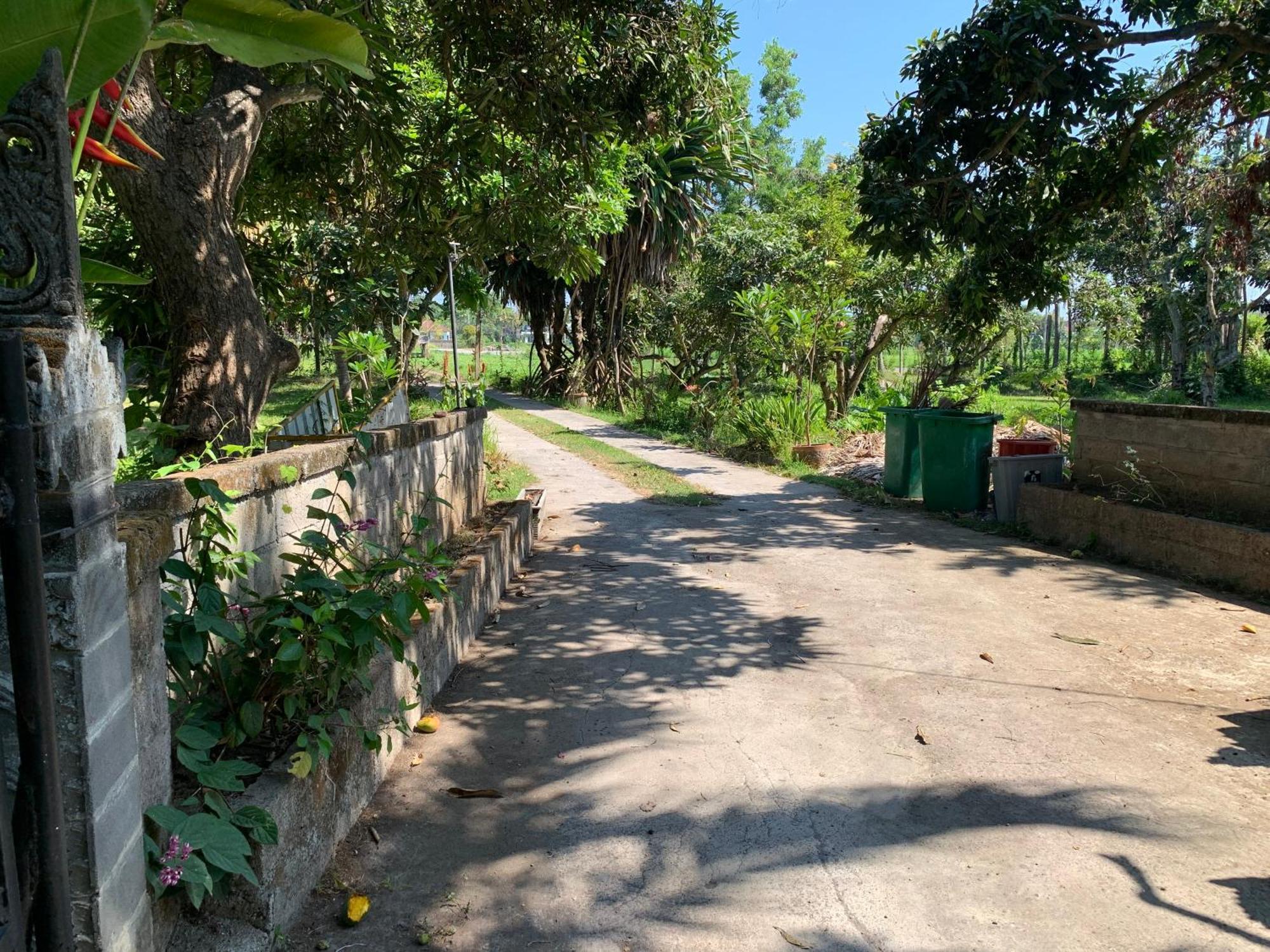Lumbung Guest house