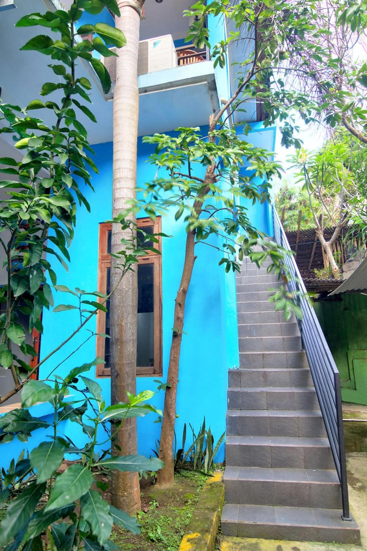Bamboo Paradise