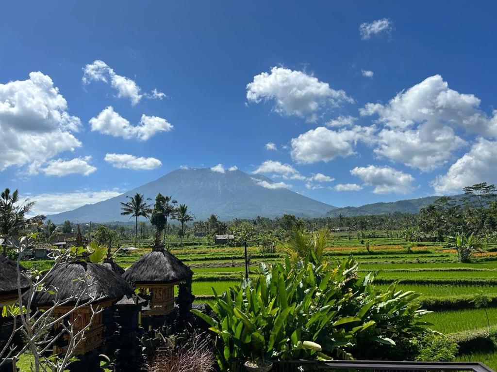 Villa Jero Tumbuk Private Selat
