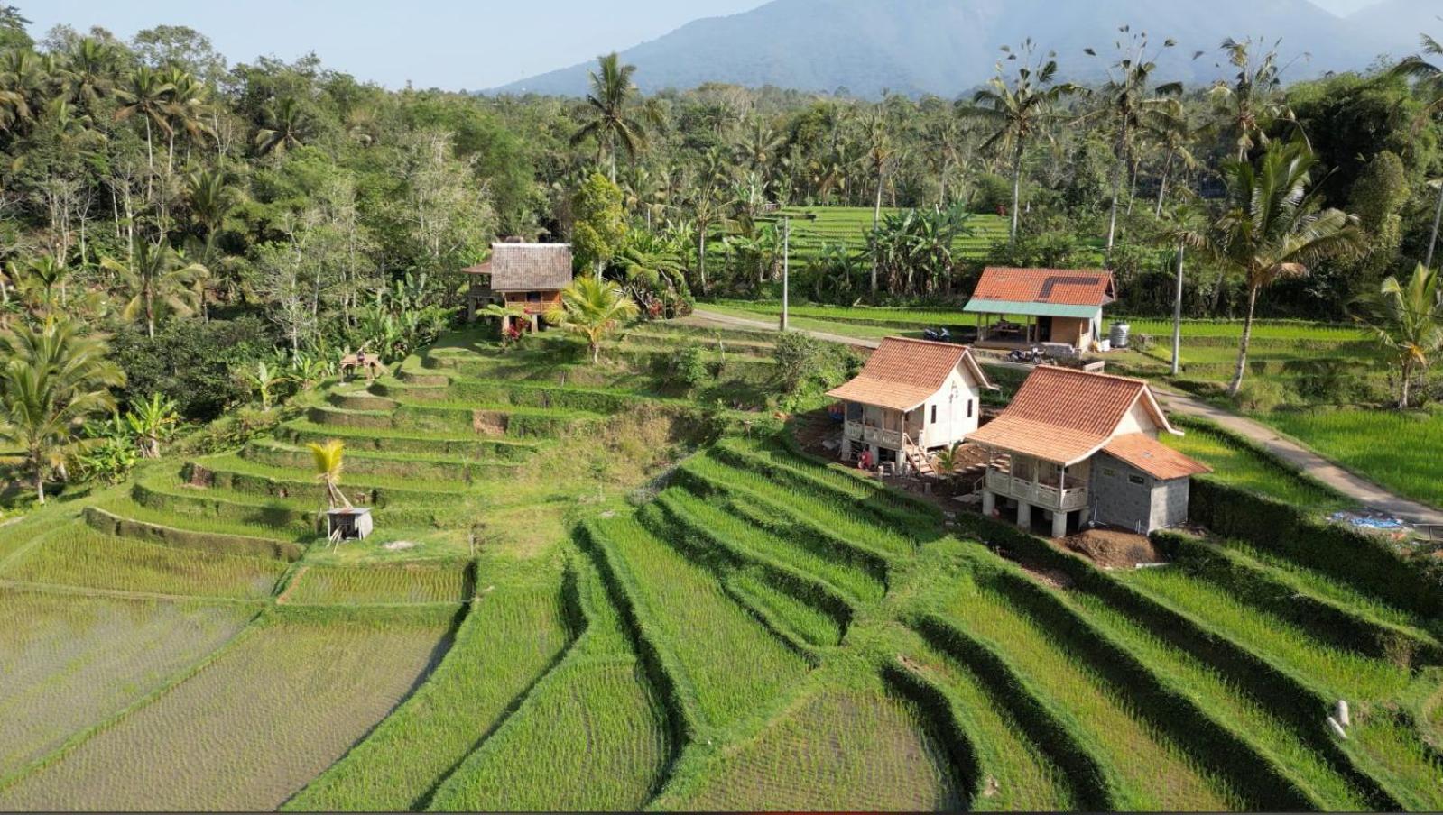 Homestay D'ume Bendoel