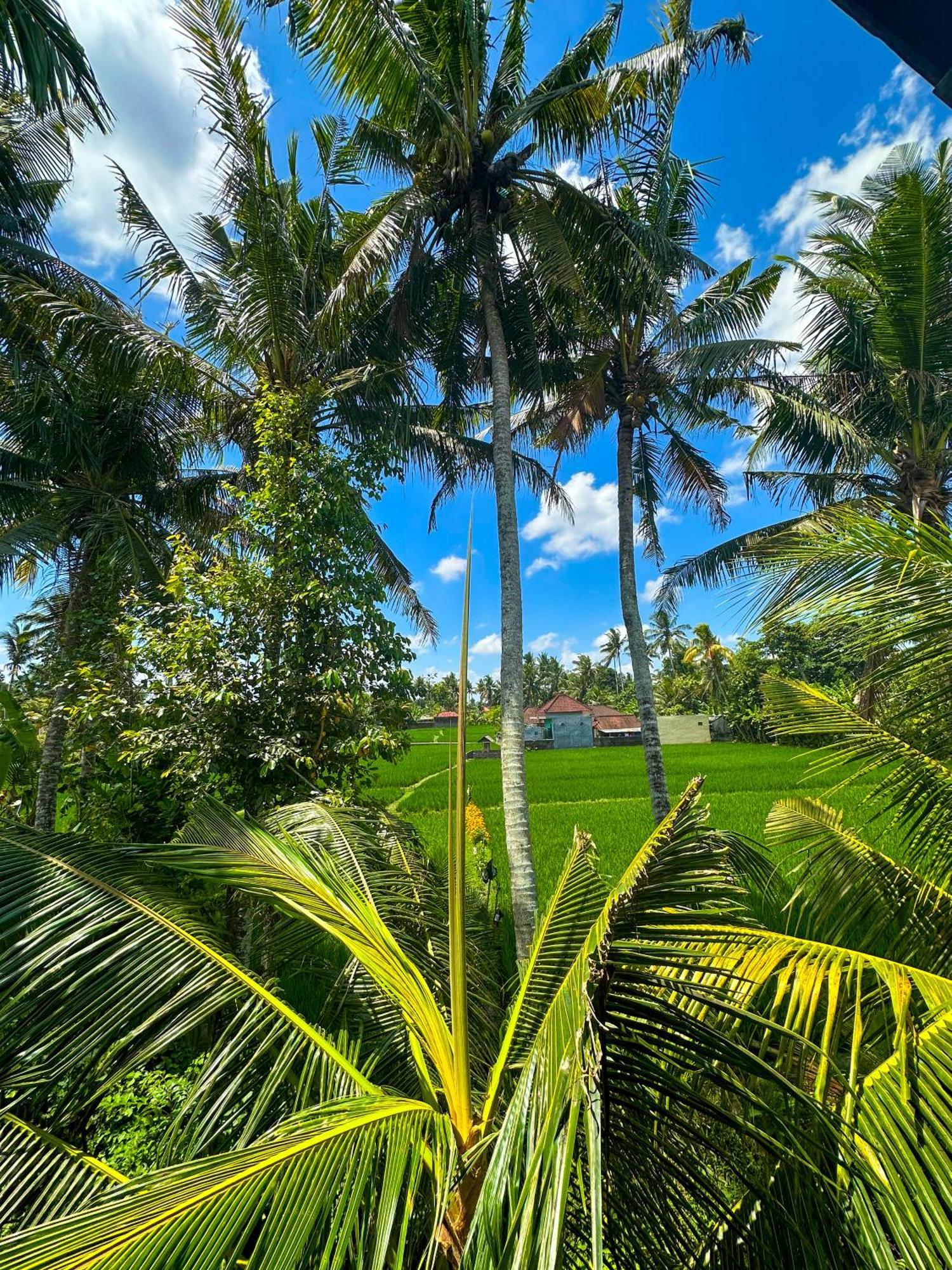 Nunu Bali Eco Friendly Retreat 4*