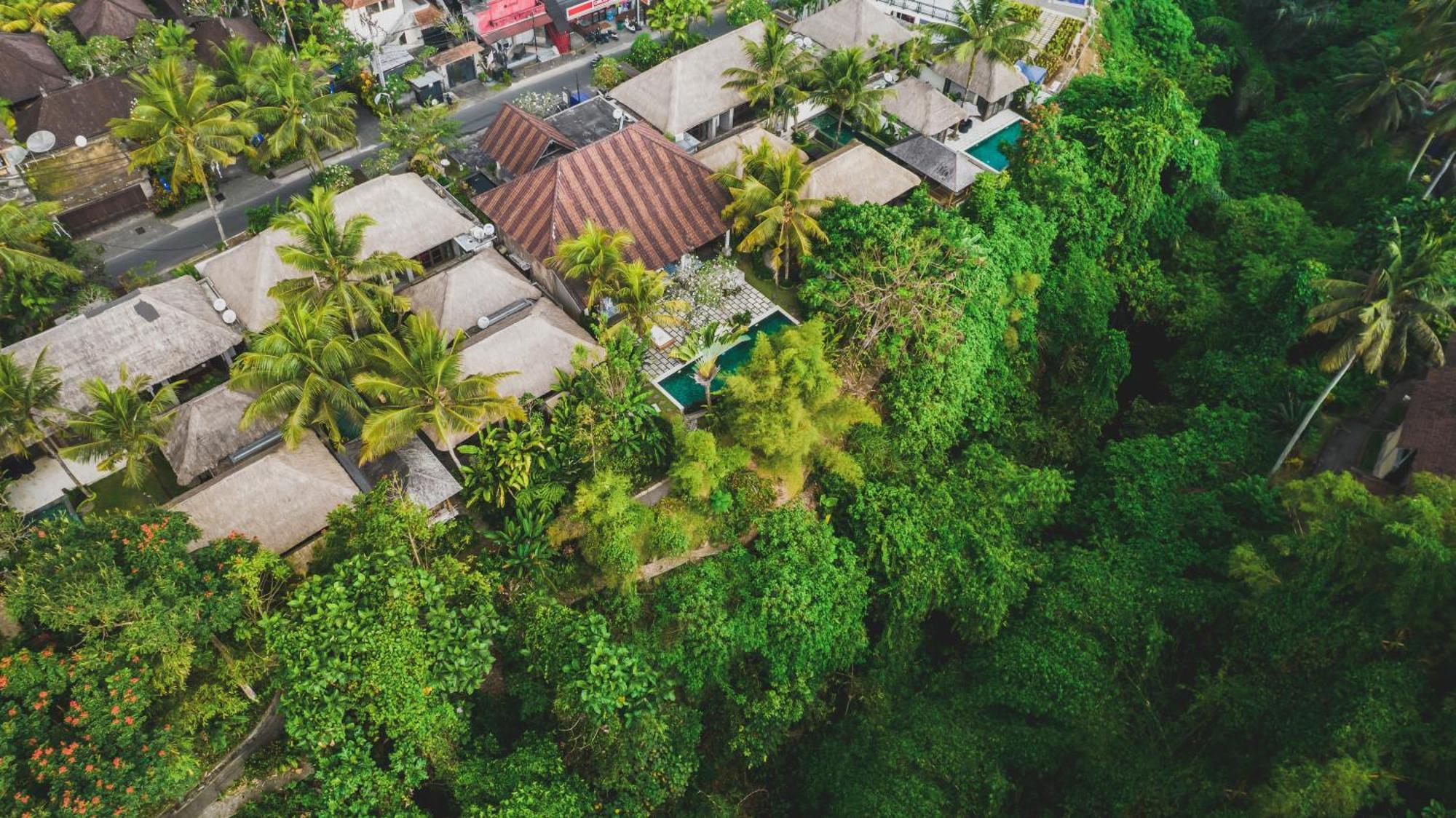 Luwak Estate Villa