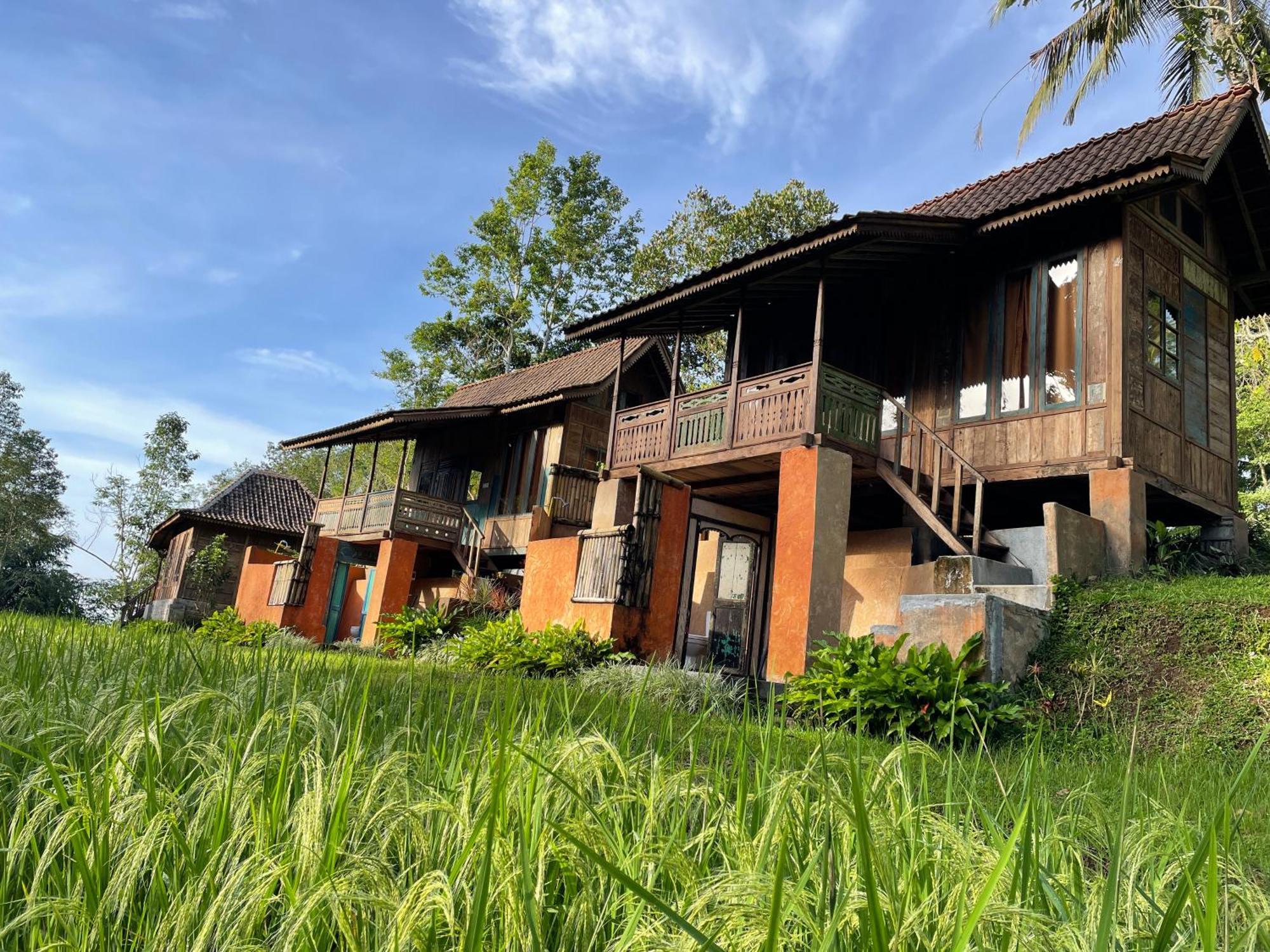 Oemah Tepi Sawah Lodge *