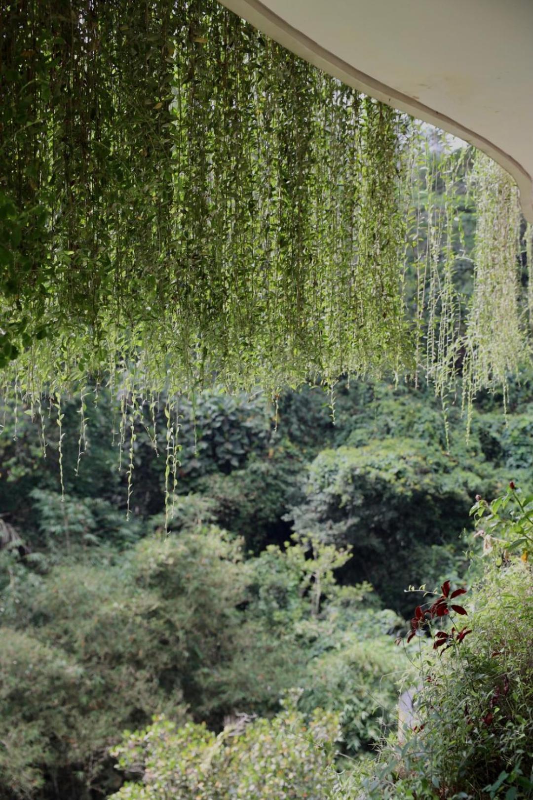 Kenran By Soscomma Ubud (Bali)