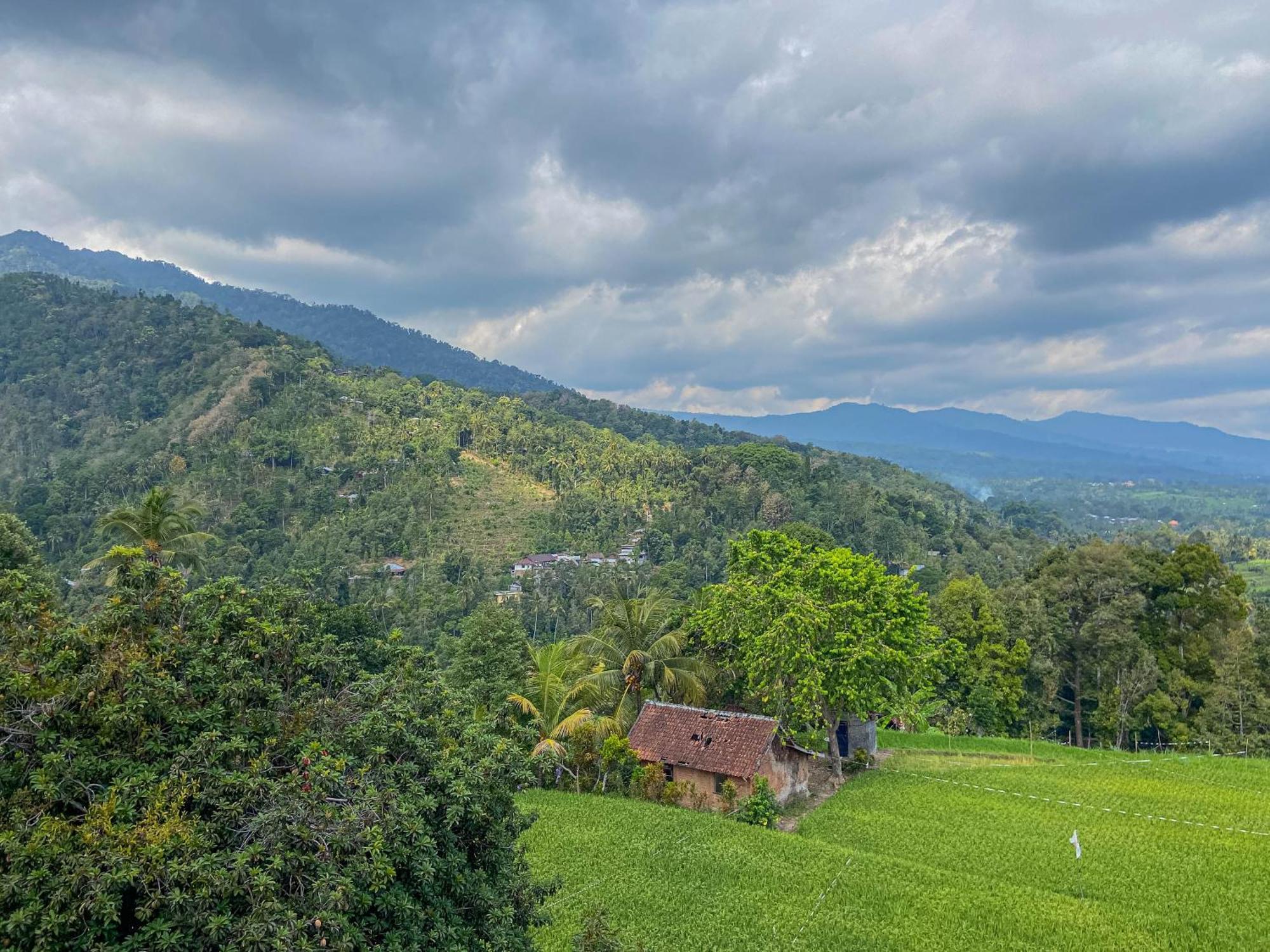 Mandhasativa Homestay