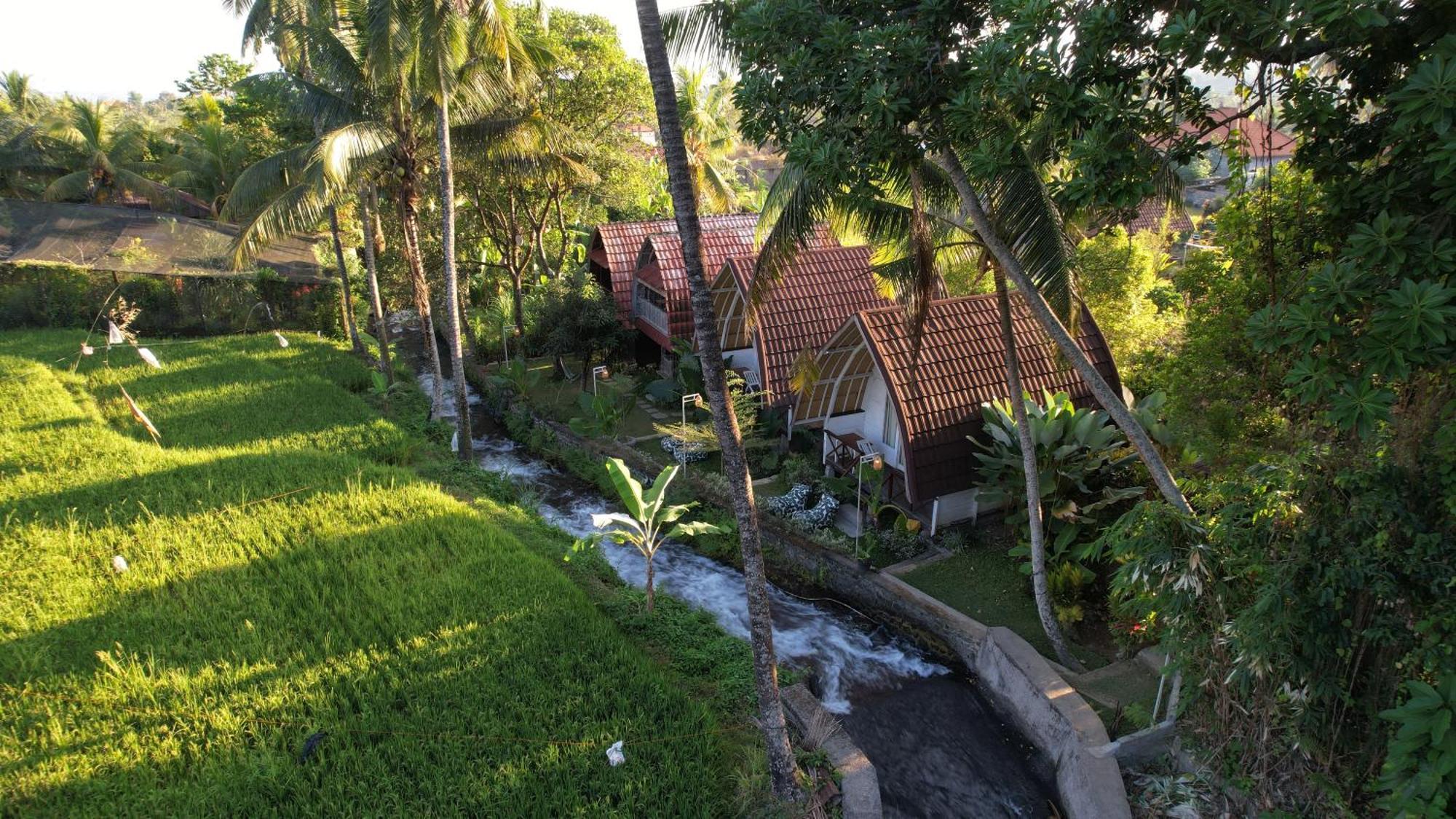 Homestay Damuh Pertivi, River And Rice Fields View