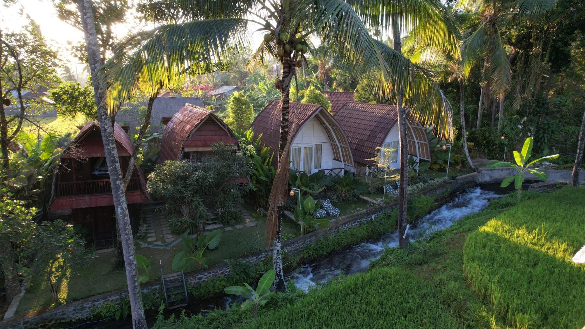 Damuh Pertivi, River And Rice Fields View Homestay Lovina (Bali)
