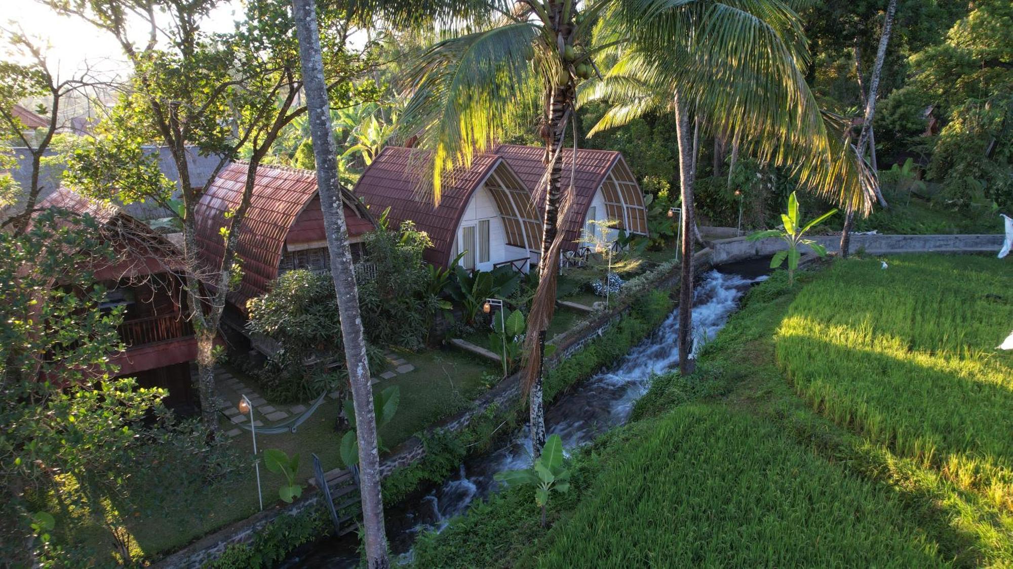Homestay Damuh Pertivi, River And Rice Fields View