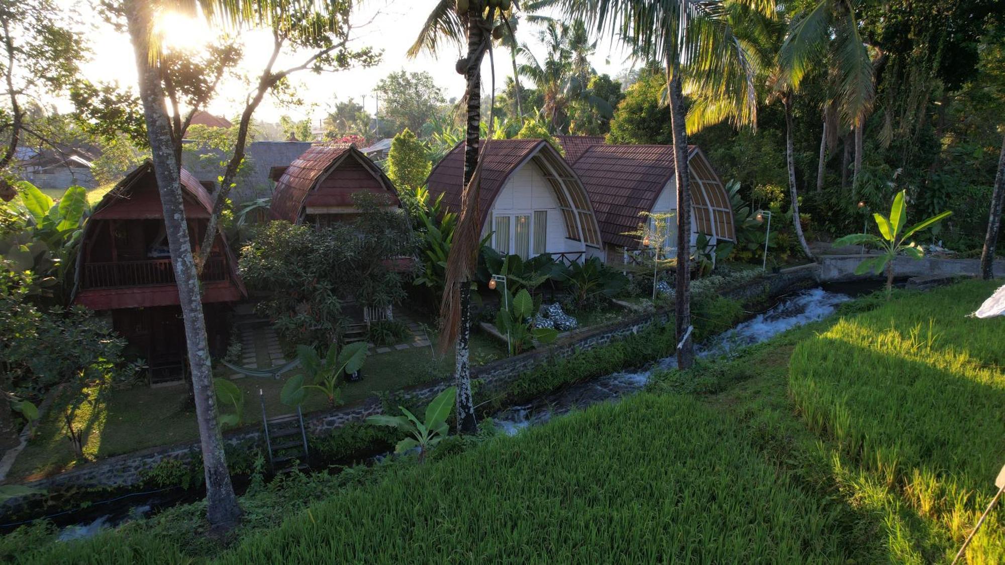 Damuh Pertivi, River And Rice Fields View *