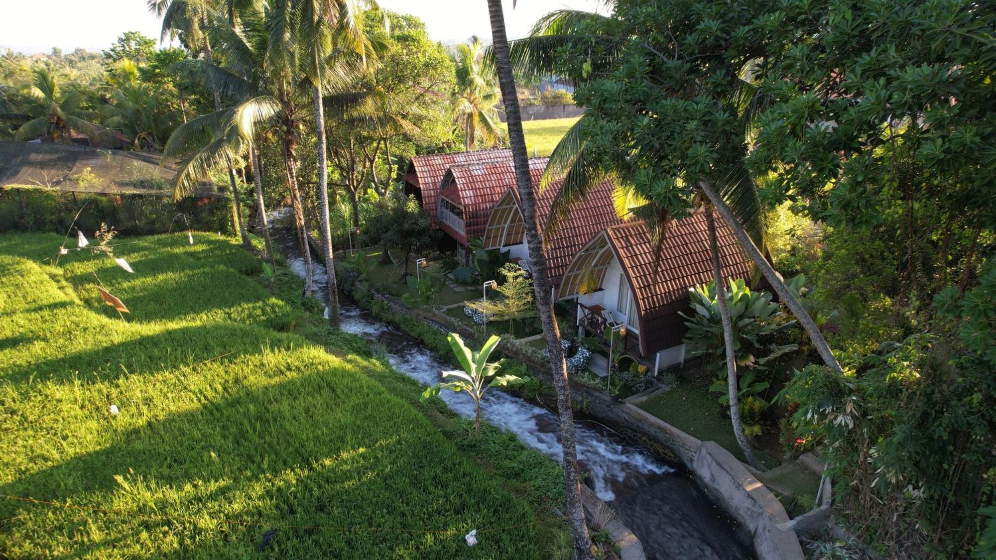 Homestay Damuh Pertivi, River And Rice Fields View *