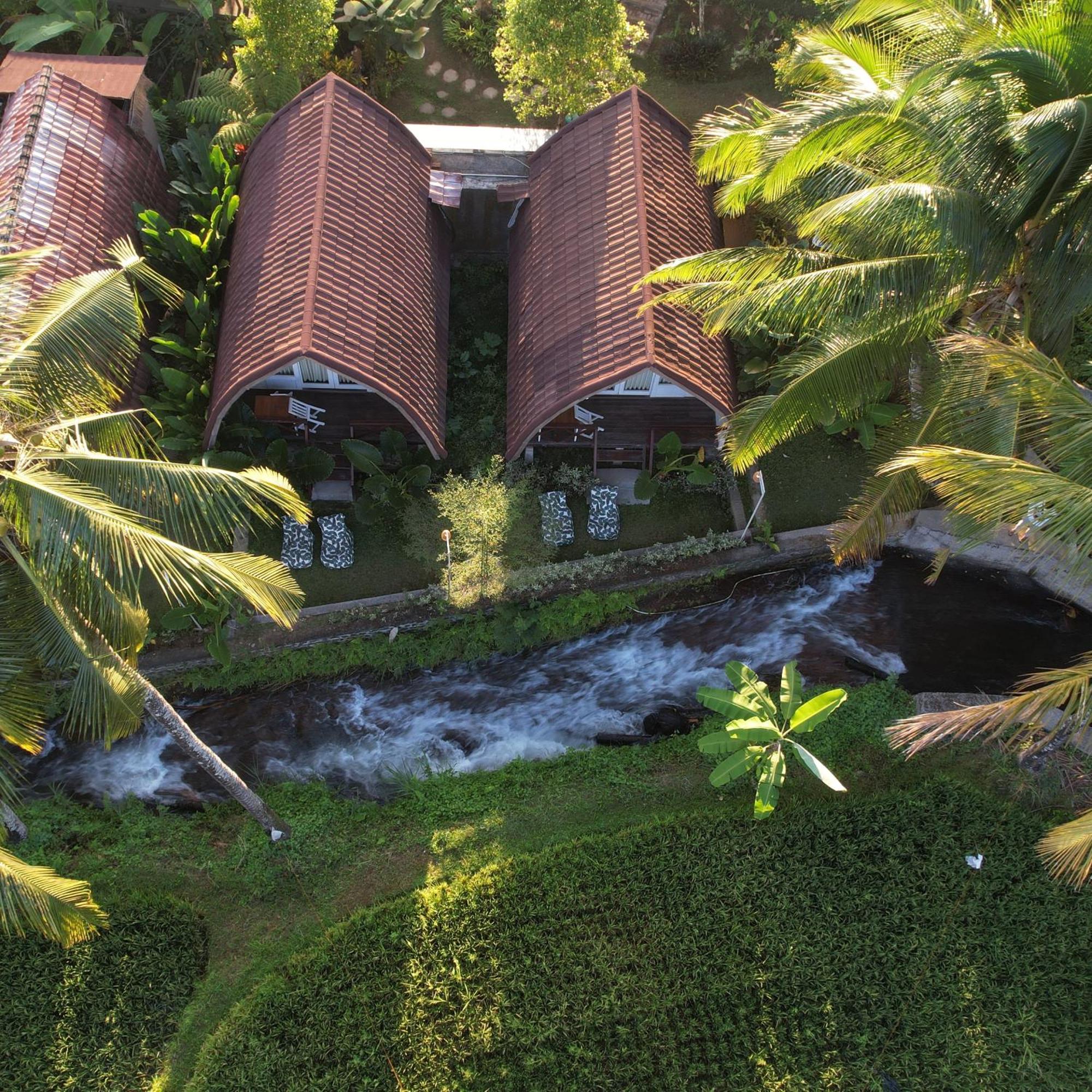 Damuh Pertivi, River And Rice Fields View * Lovina (Bali)