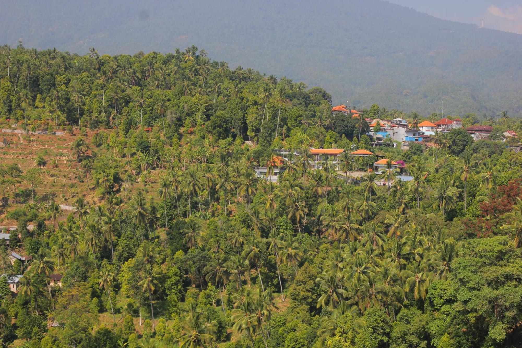 Rostika Villa&camping Sekumpul Buleleng (Bali)