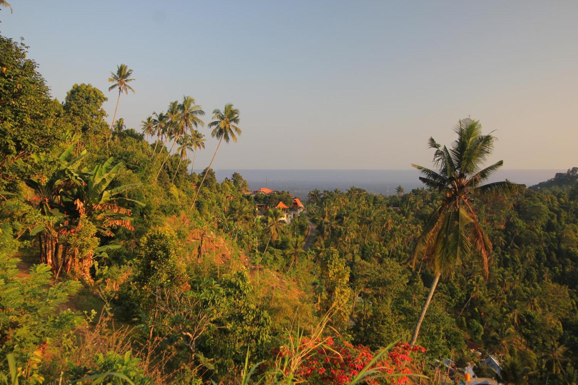 Hotel Rostika Villa&camping Sekumpul 3*