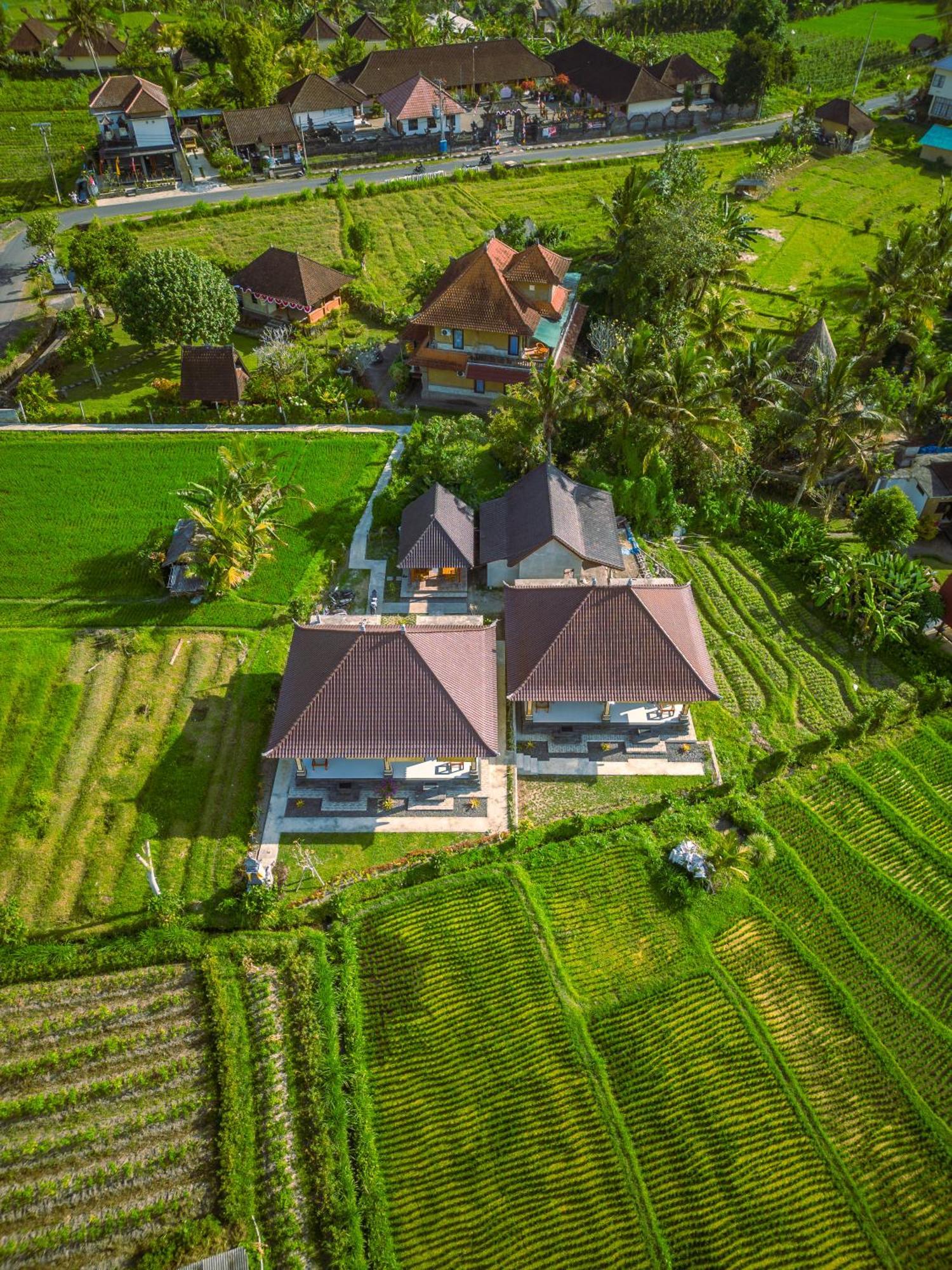 Lodge The Babakan Sidemen (Bali)