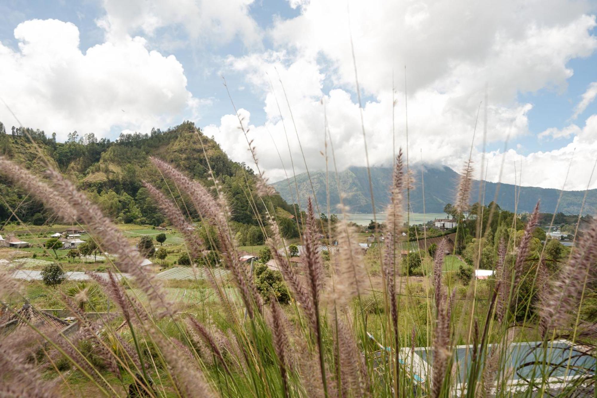 Lodge Batur Cliff Panorama