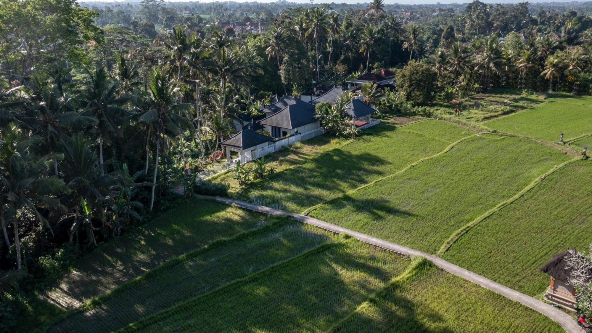 Capung Asri Eco Luxury With Private Pool Bed & Breakfast Bedahulu