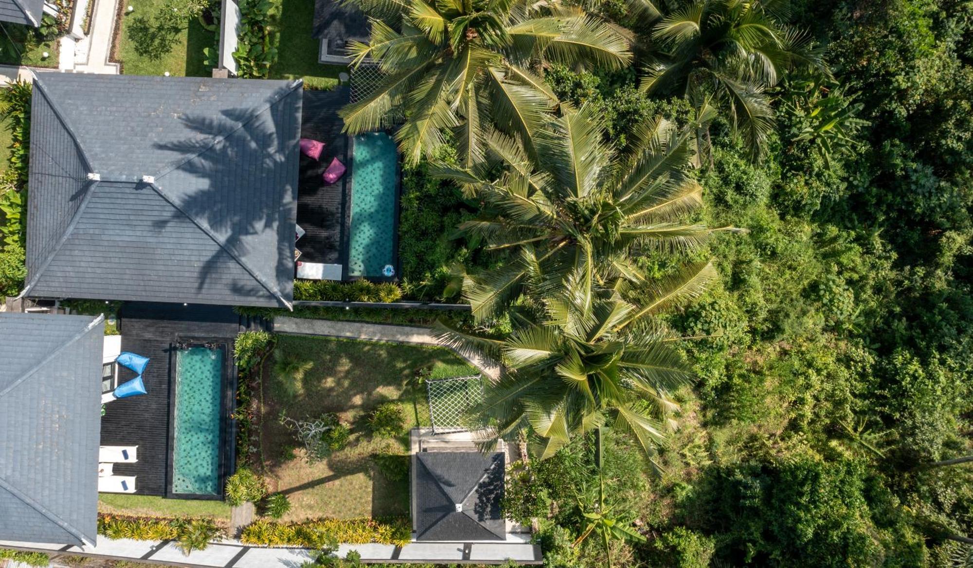 Capung Asri Eco Luxury With Private Pool Bedahulu