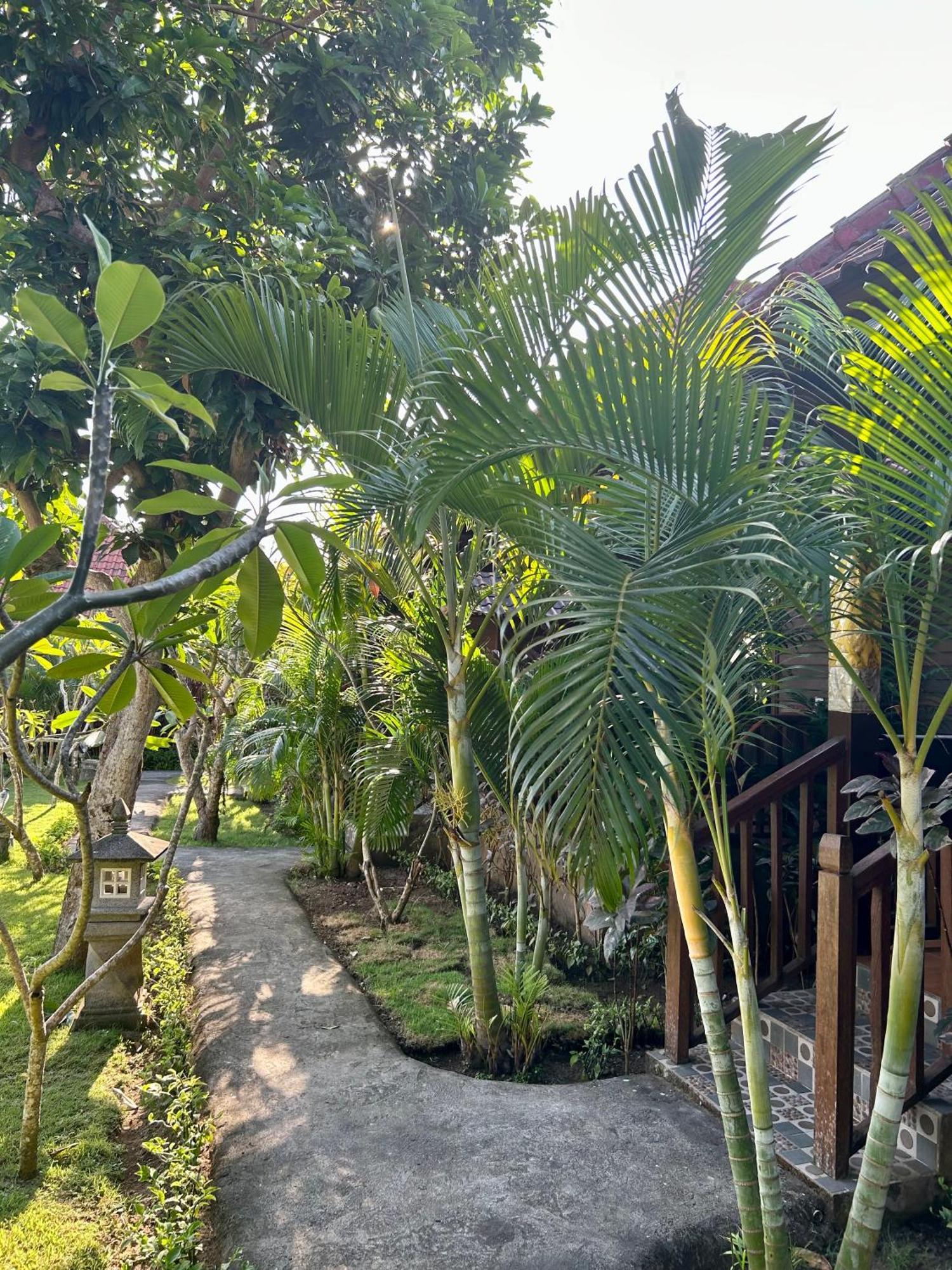 Bed & Breakfast Island Garden Huts Nusa Lembongan (Bali)