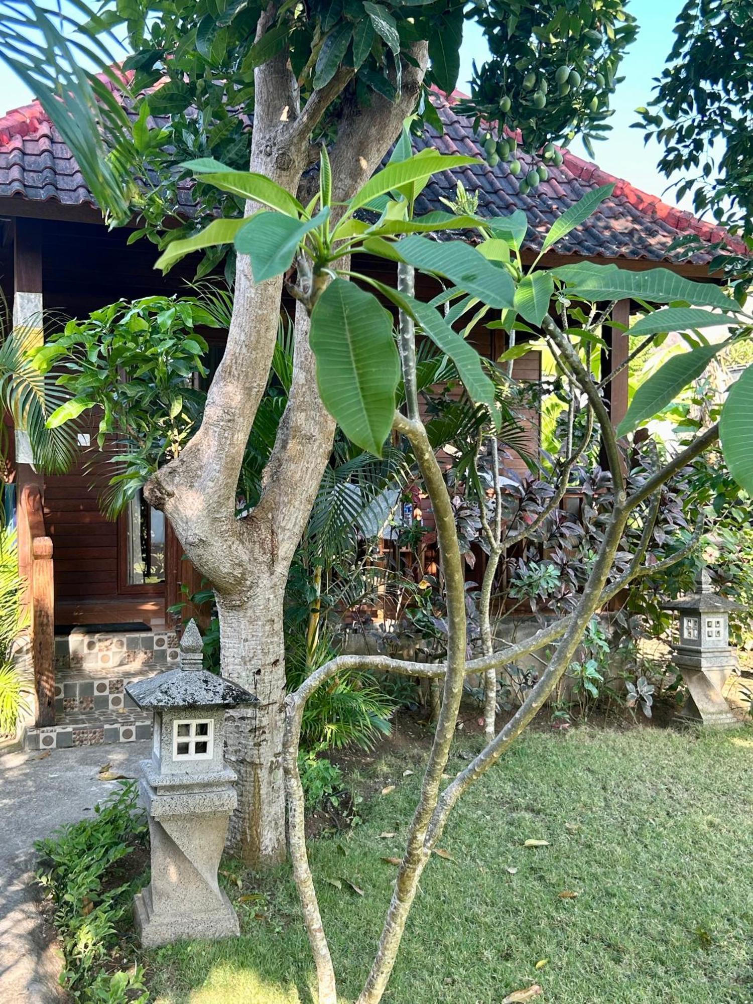 Island Garden Huts Nusa Lembongan (Bali)