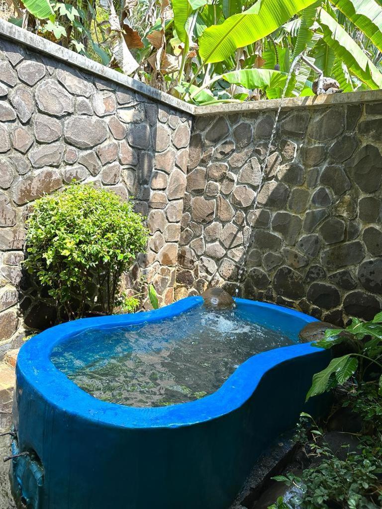 Guest house Wisata Grya Sari Banjar (Bali)