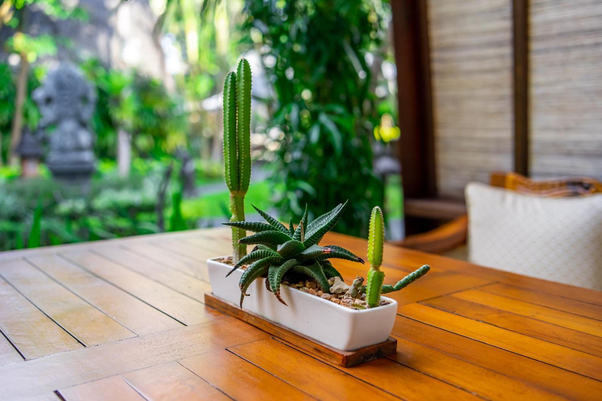 Klumpu Bali Resort Sanur (Bali)
