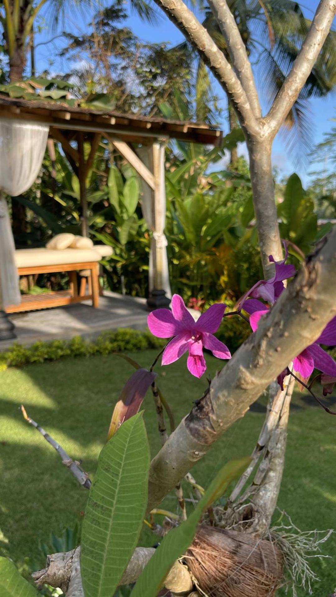 Hatiku Di Bali - Ubud Villa *