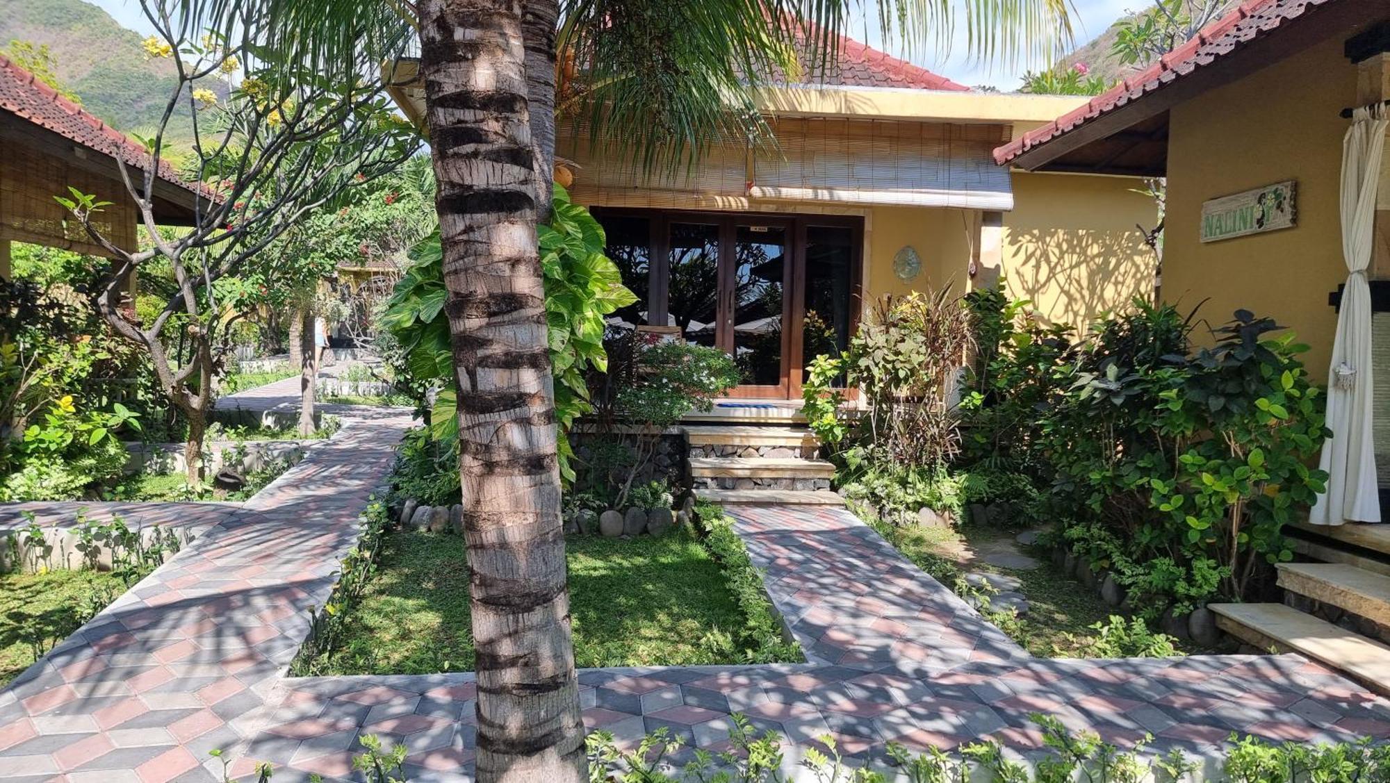 Nalini Amed (Bali)