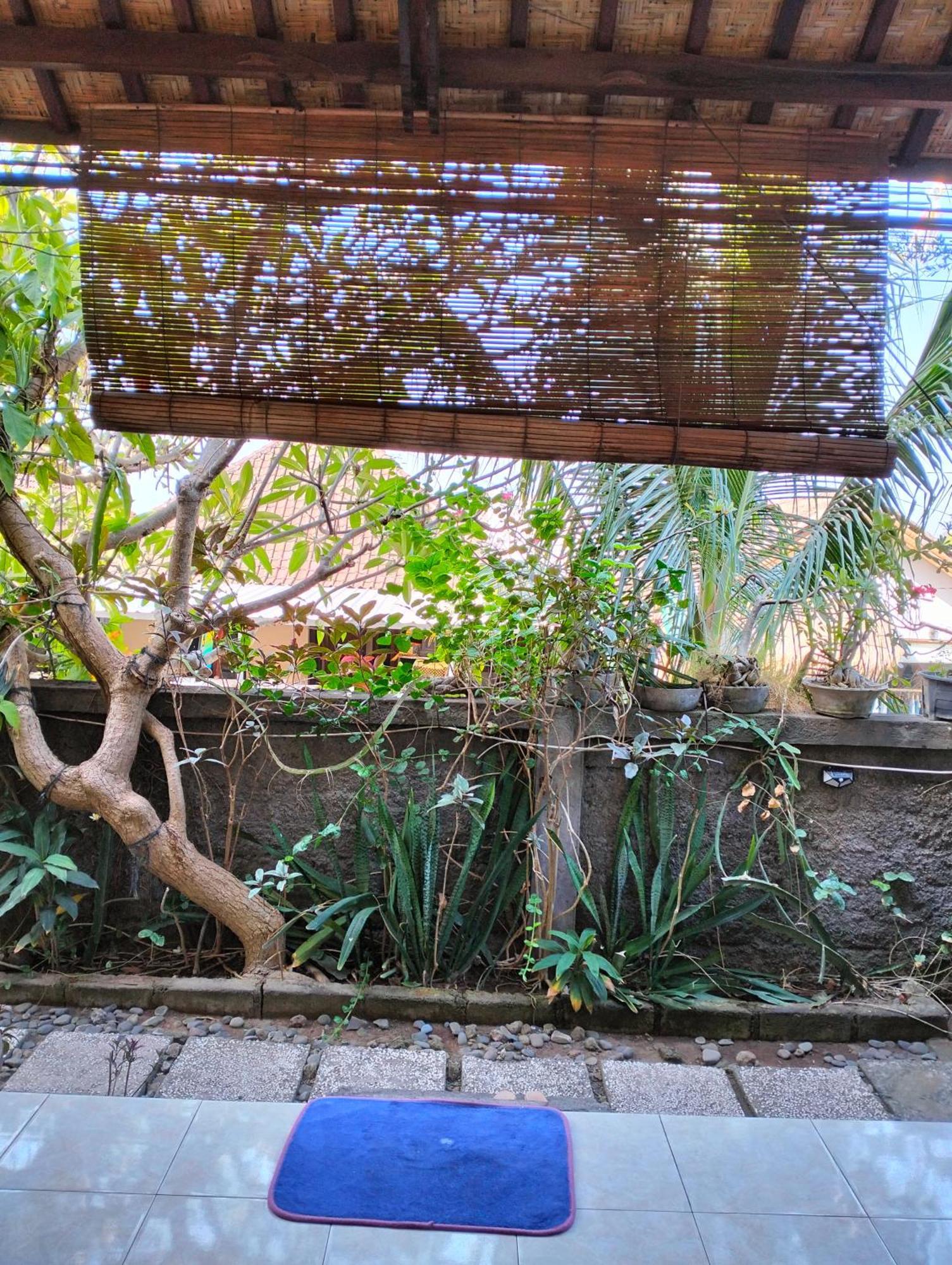 Dharma Yoga Homestay