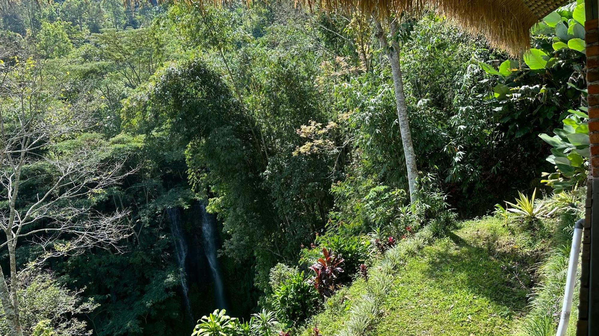 Tutub Waterfall View Hotel kapsul