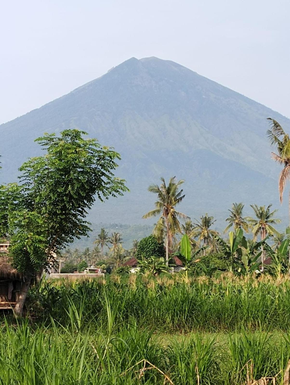 Stop Homestay, Rooftop Restaurant And Bar 2* Amed (Bali)