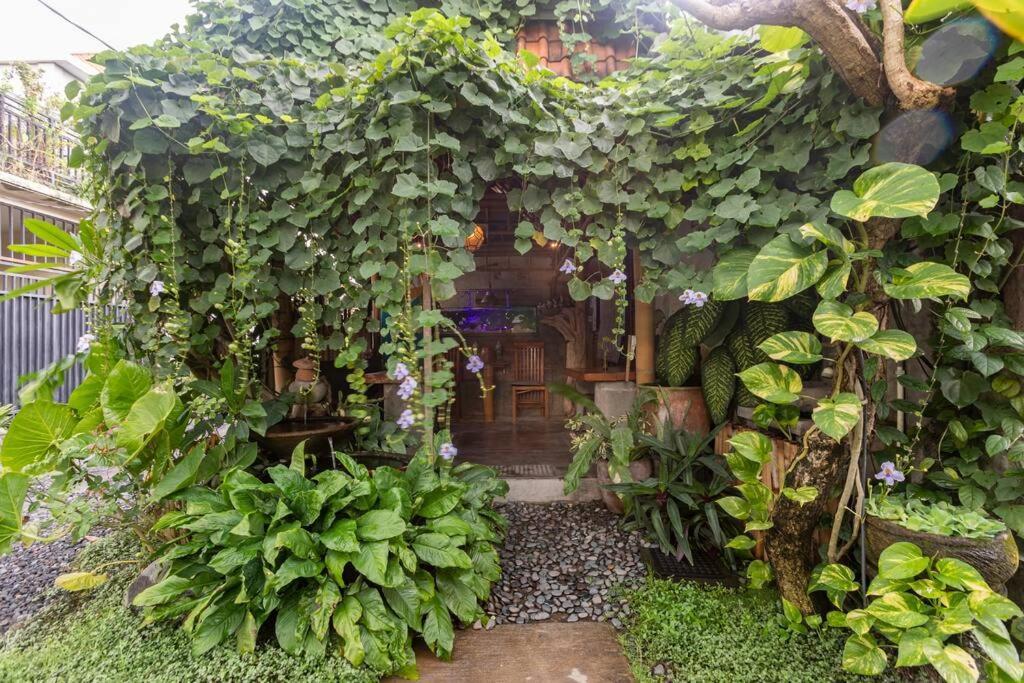 Surfer Garden * Sanur (Bali)
