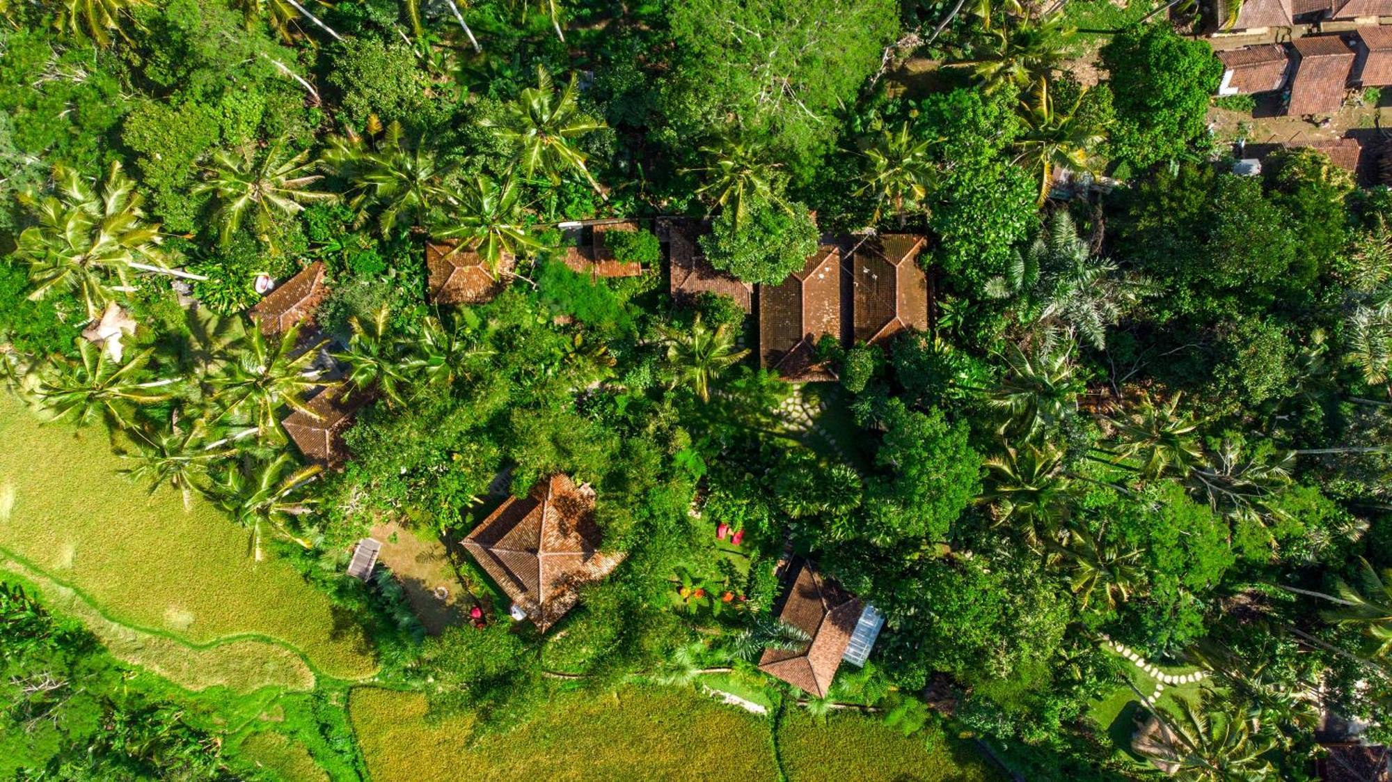 Dewi Tara Haven * Gianyar (Bali)